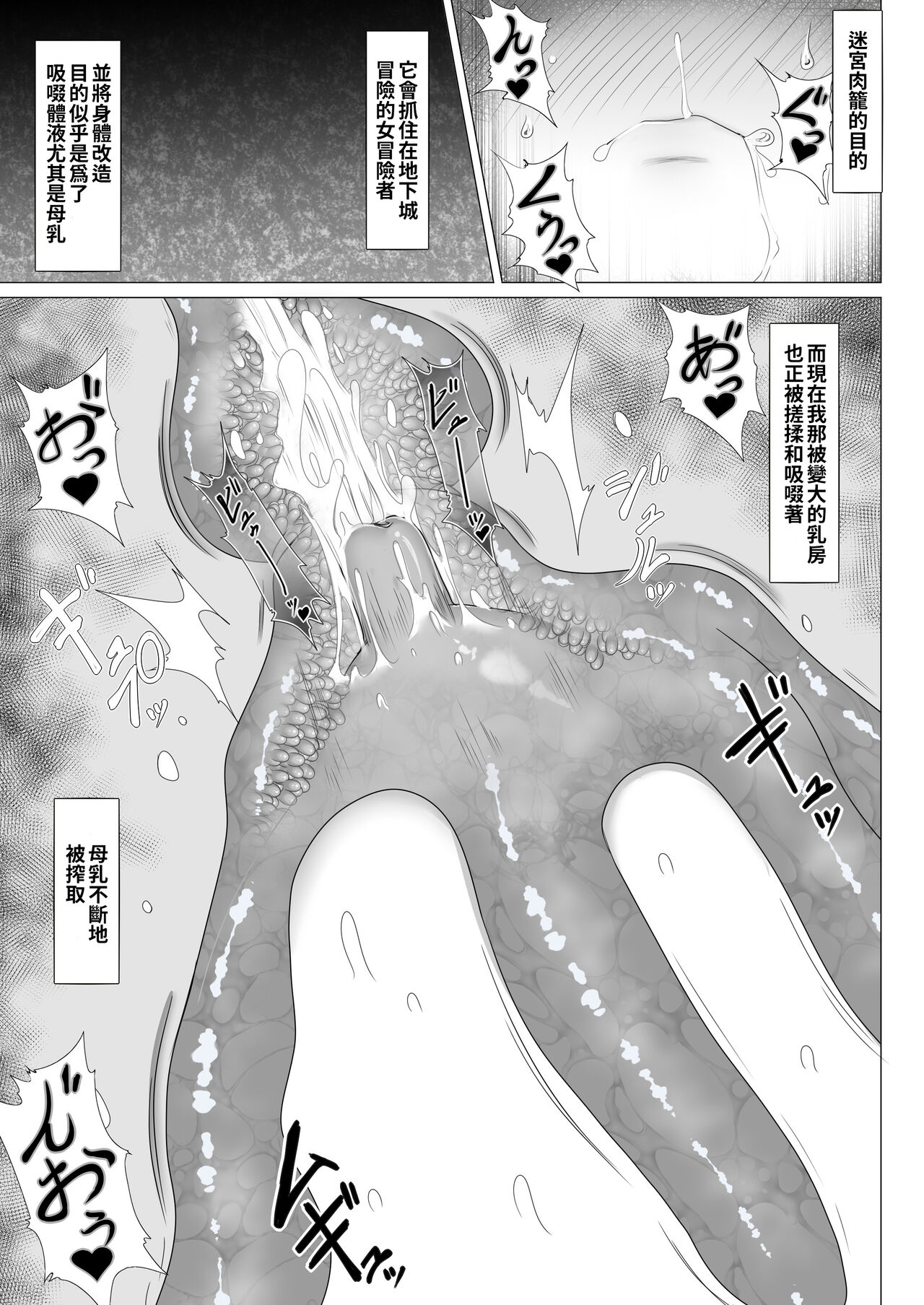 Chounyuu no Ori | 超乳籠牢 page 5 full