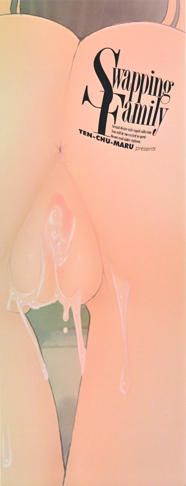 Choukyou Tsuma Koukan - Swapping Family page 3 full