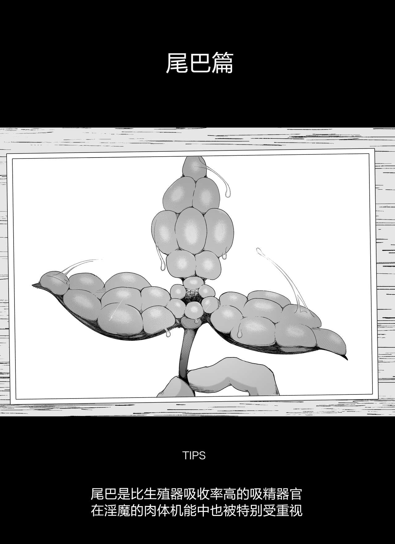 "Shippo Hen" Madougu-ya no Kyokubu Seme Choukyou Nisshi page 3 full