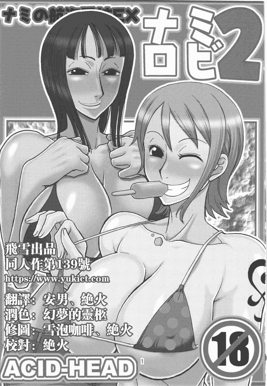 Nami no Koukai Nisshi EX NamiRobi 2 page 2 full