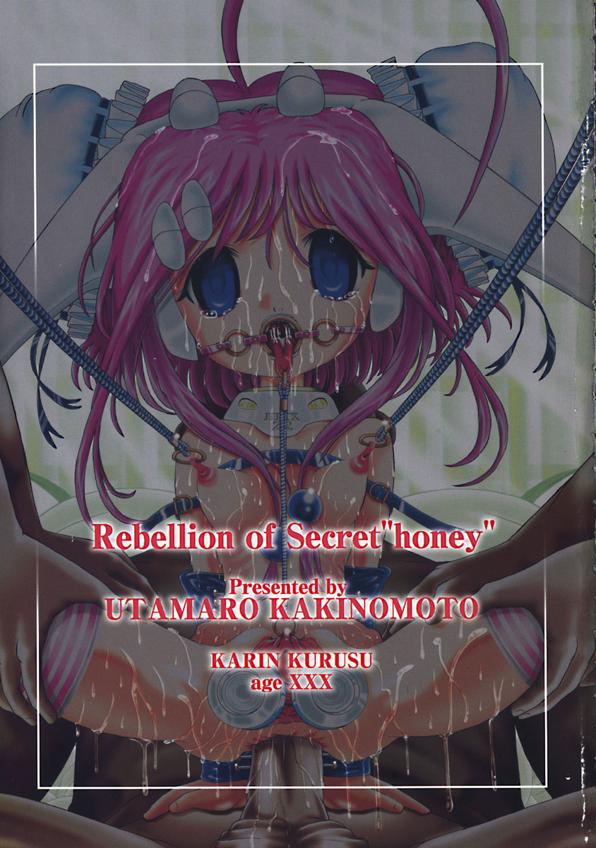 Himitsu no Hanran page 6 full