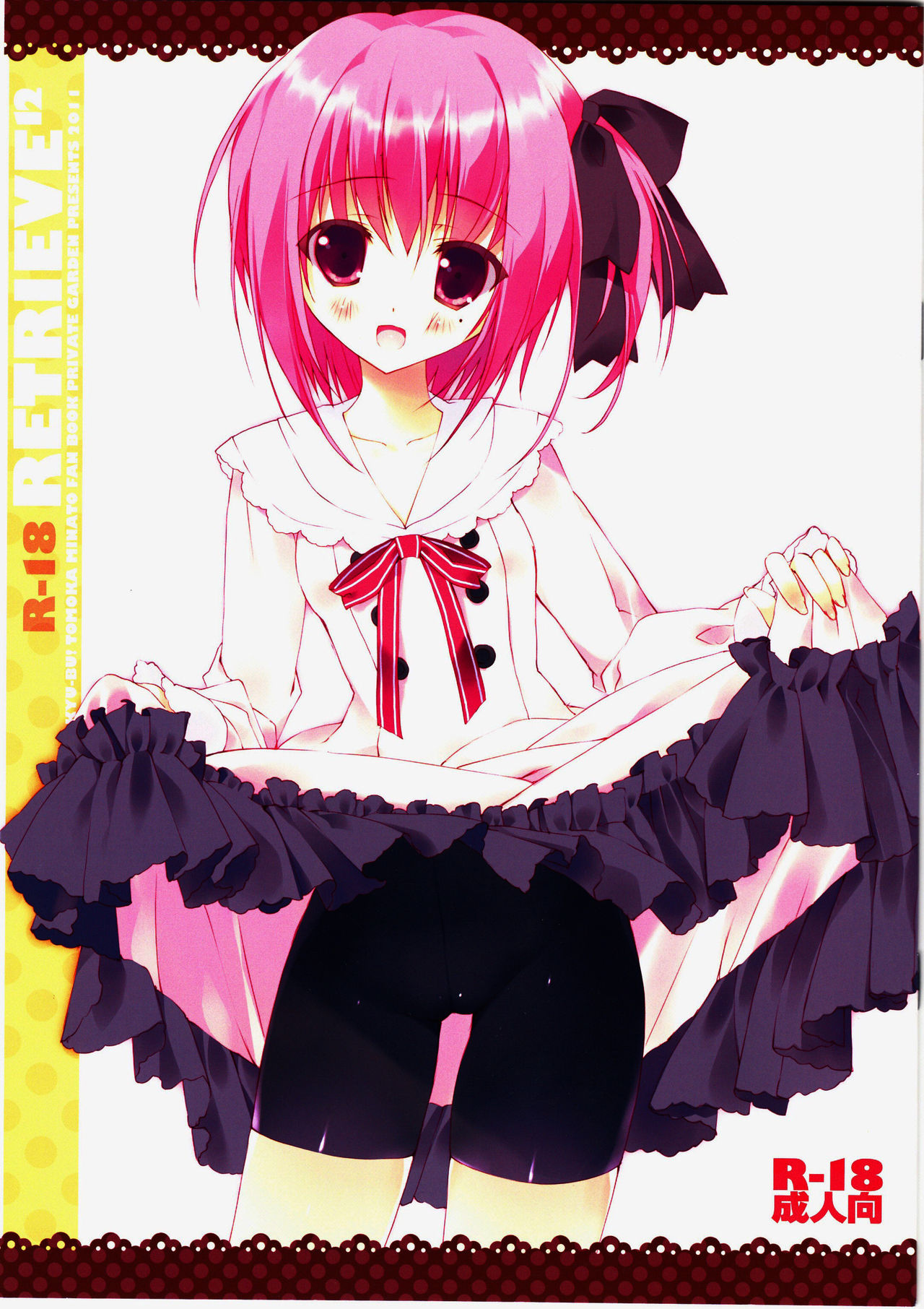 retrieve #12 page 1 full