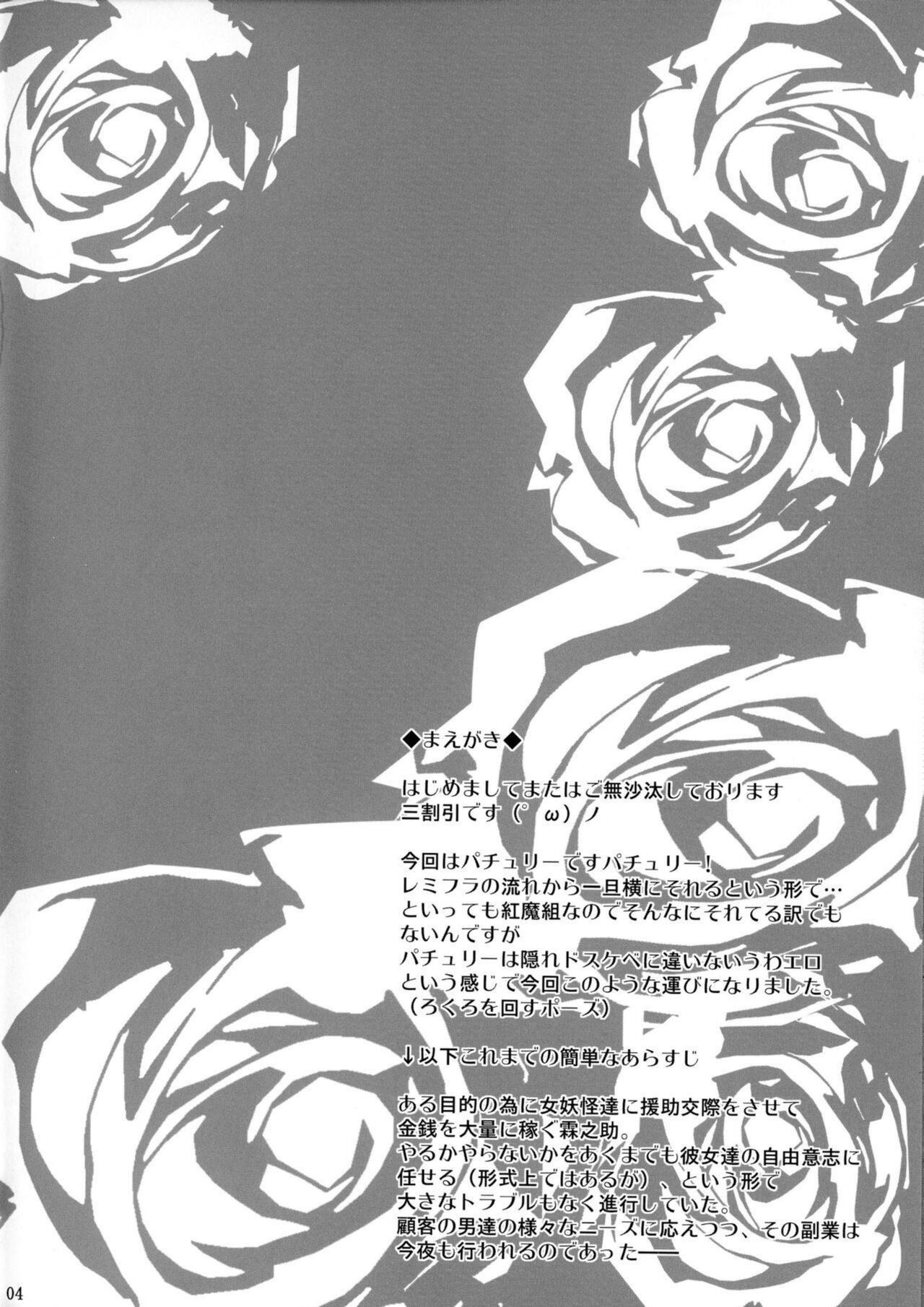 Gensou Enkou -Knowledge- page 4 full