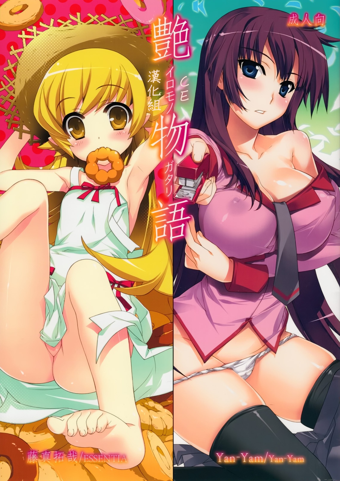 Iromonogatari page 1 full