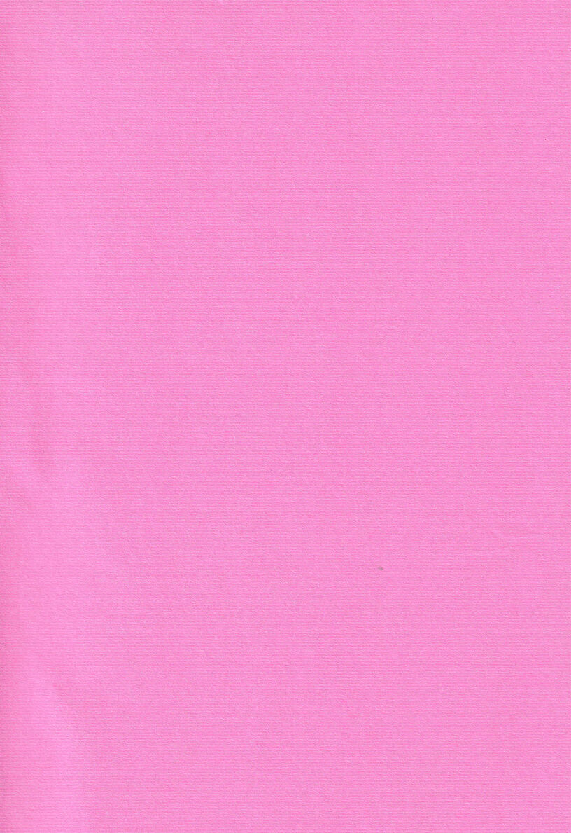 波羅蜜恋華 page 2 full