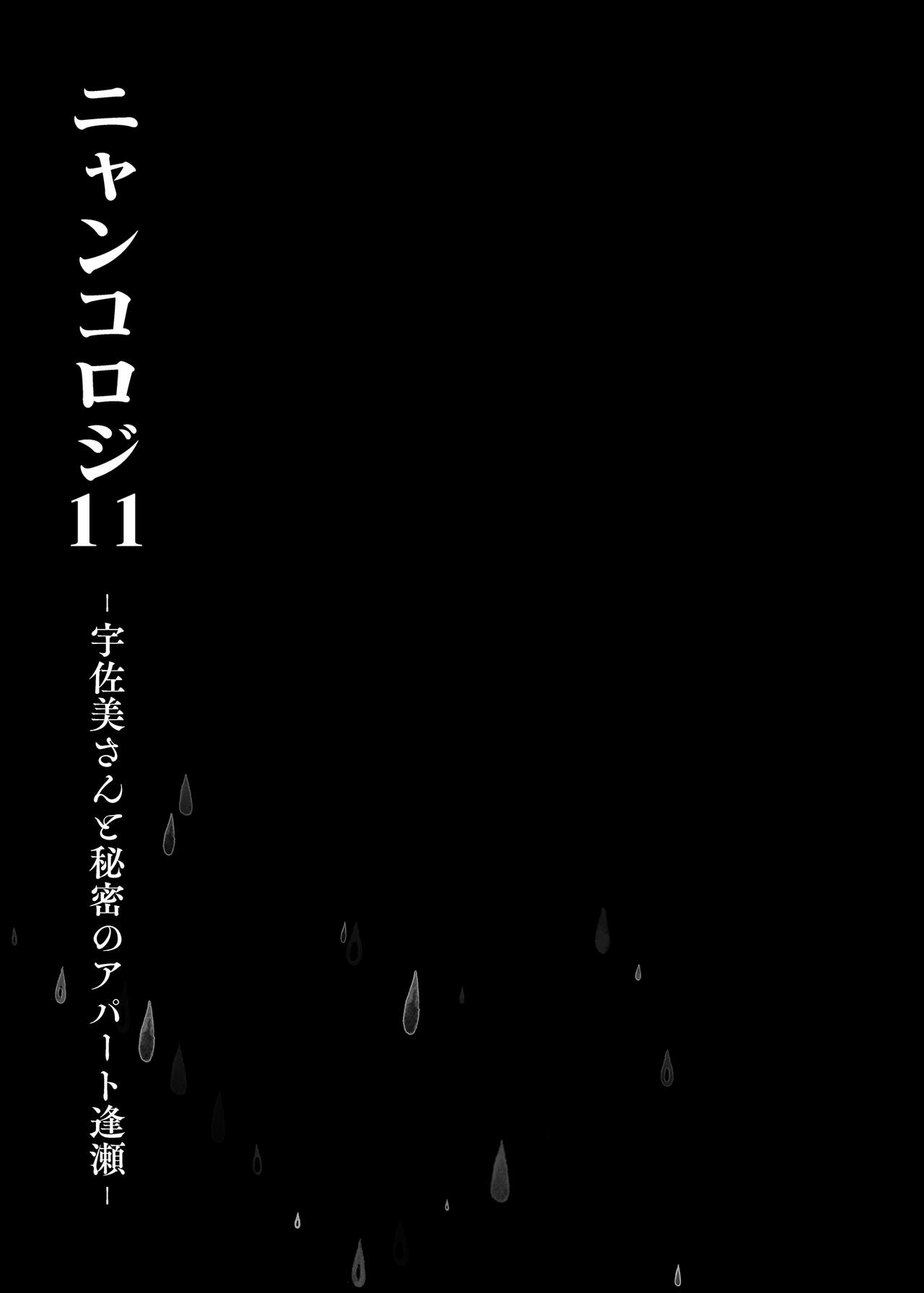 Nyancology11 -Usami-san to Himitsu no Apart Ouse- | 喵喵可蘿姬11～和宇佐美的祕密公寓幽會 page 5 full