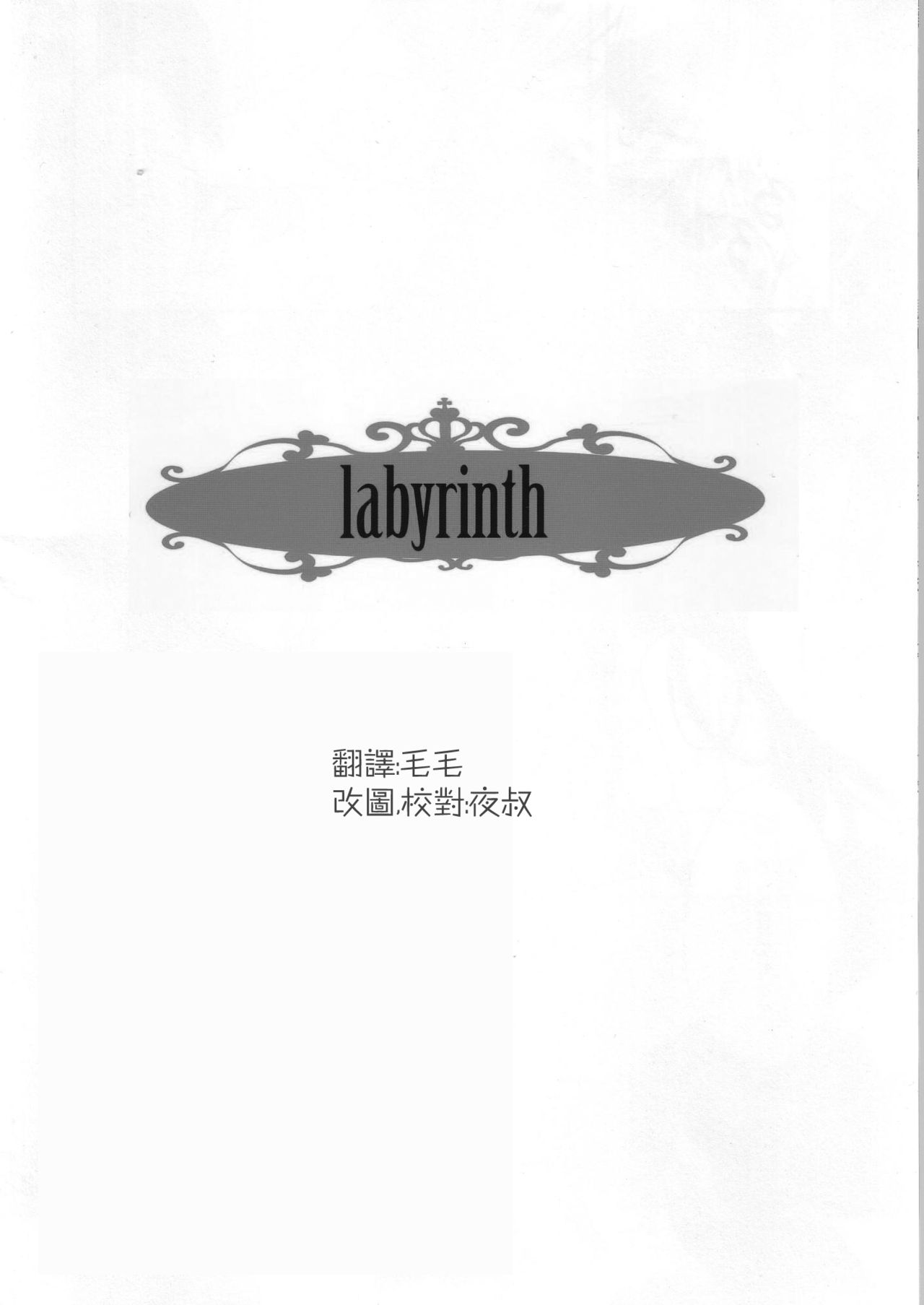 labyrinth | 迷宮 page 2 full