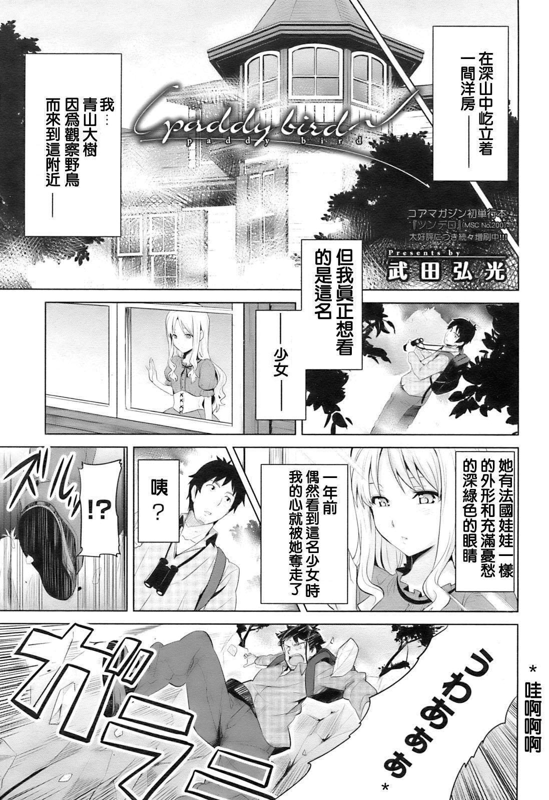 Paddy Bird page 5 full