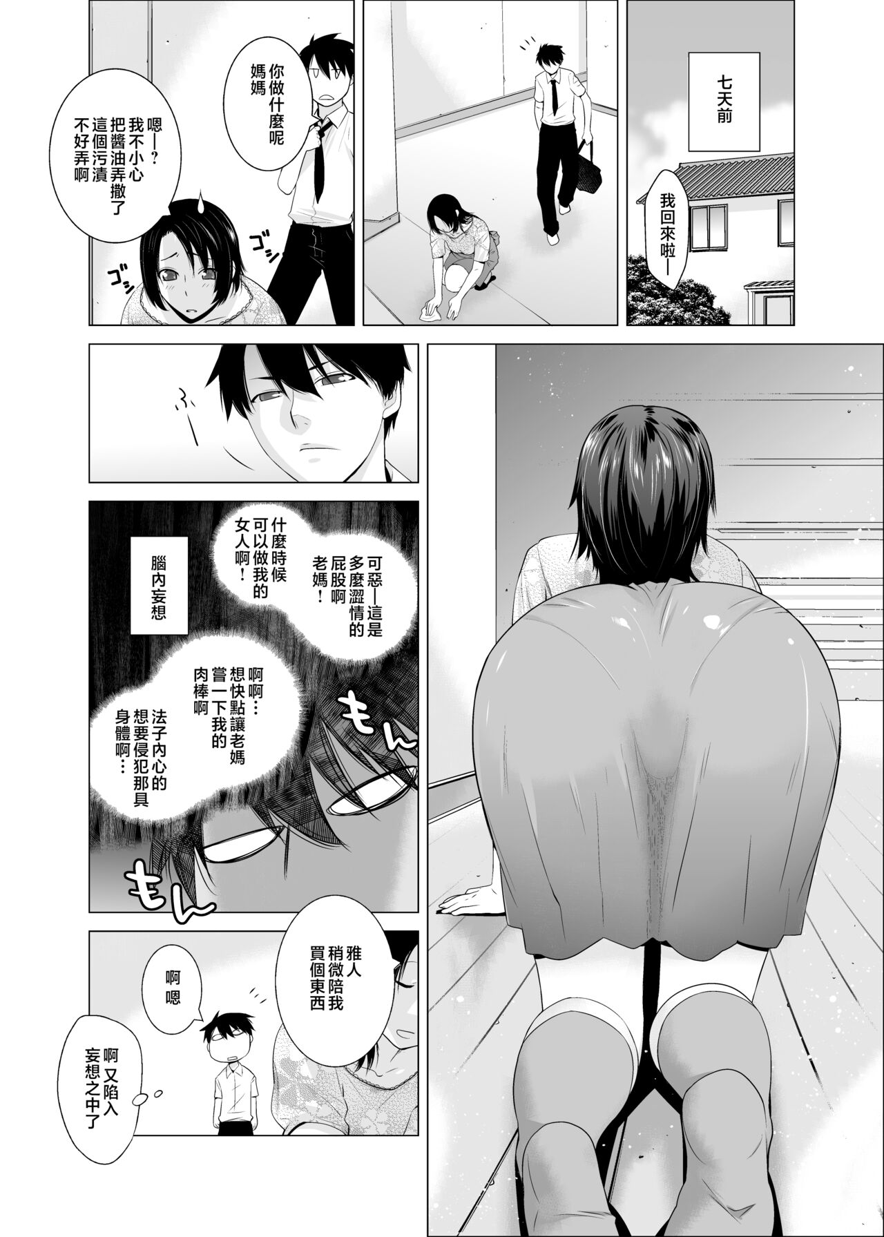 Original 03 California Poppy & Azalea & Sanvitalia page 7 full