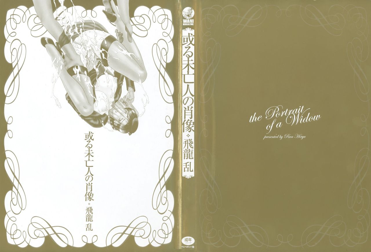 Aru Miboujin no Shouzou page 3 full