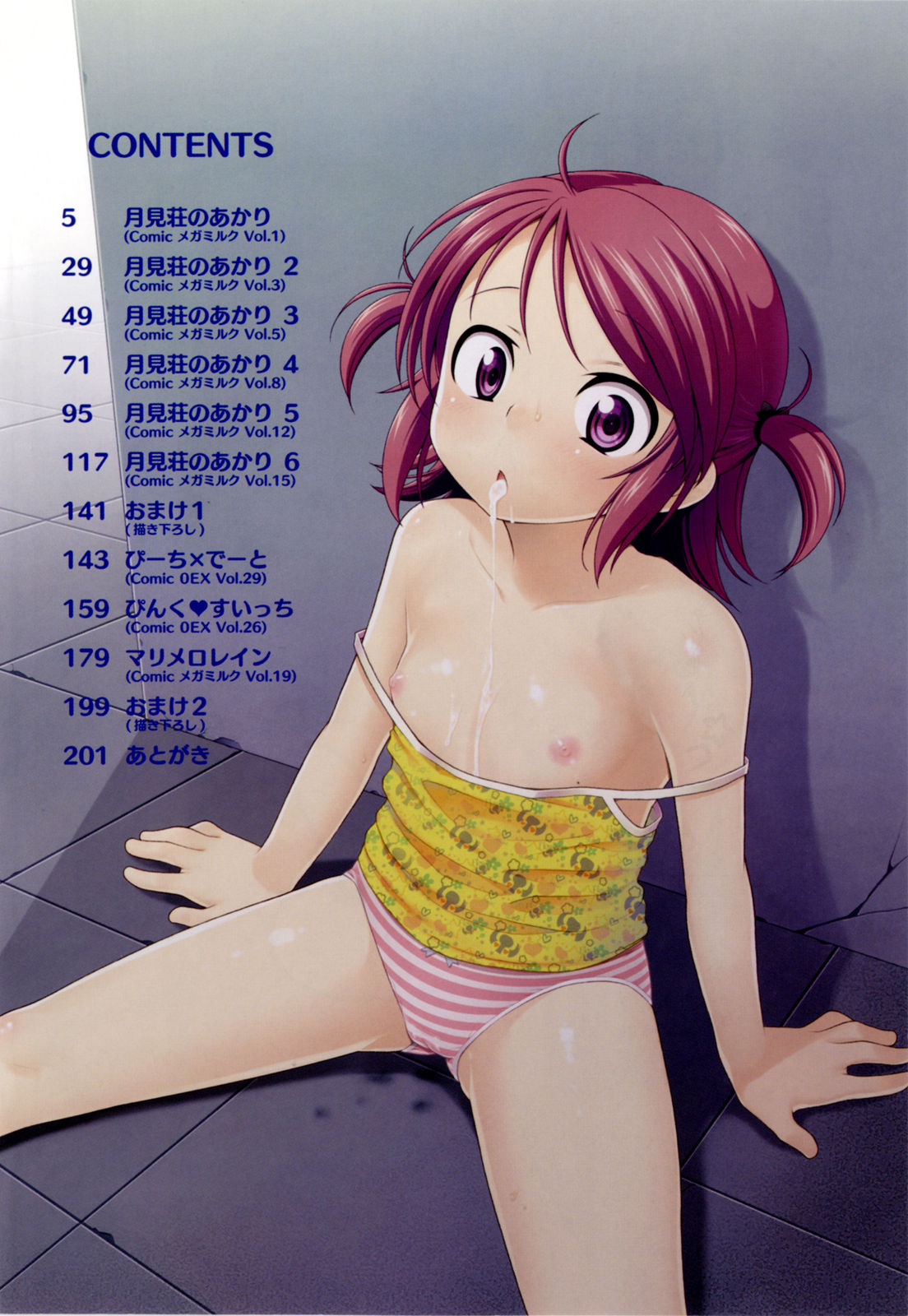 Tsukimisou no Akari page 3 full