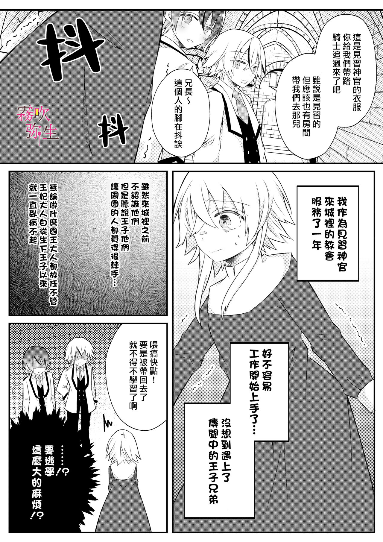 Dekiai Kei Yandere Kyoudai Ouji wa Itoshi no Shinkan Mazoku Ochi Sasetai | 溺愛係病嬌王子兄弟想讓心愛的神官墮落成魔族 page 9 full