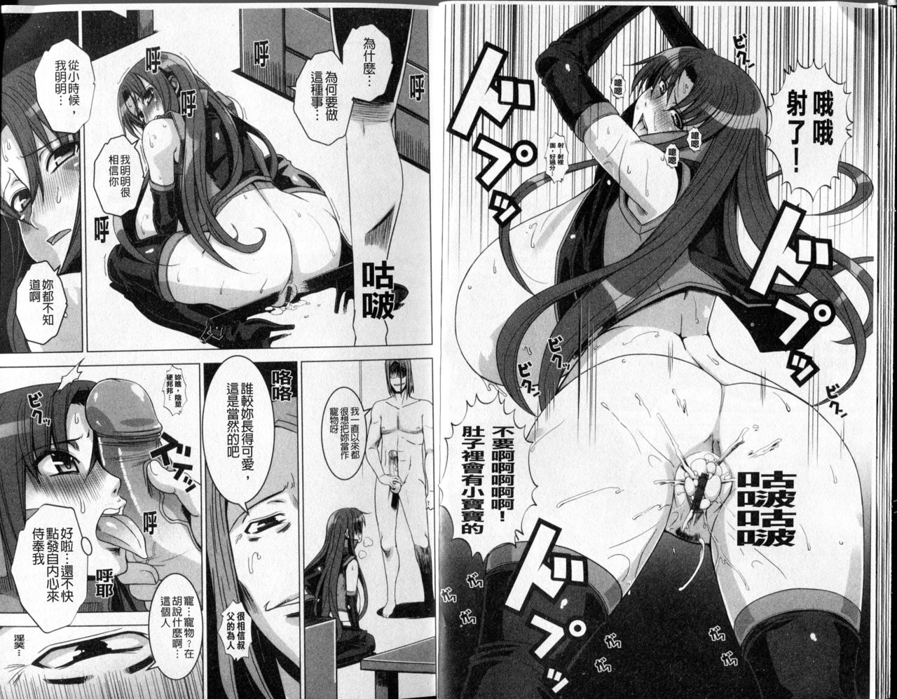 Mesuinu no Hibi | 牝犬的日子 page 10 full