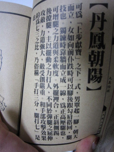 Sex-files of Chinese Swordsmen-nine true Penises page 8 full