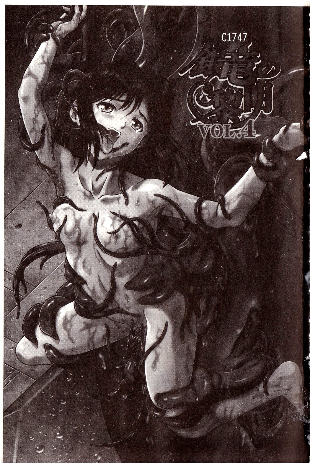 Ginryuu no Reimei Vol. 4 | 銀竜的黎明 VOL.4 page 3 full