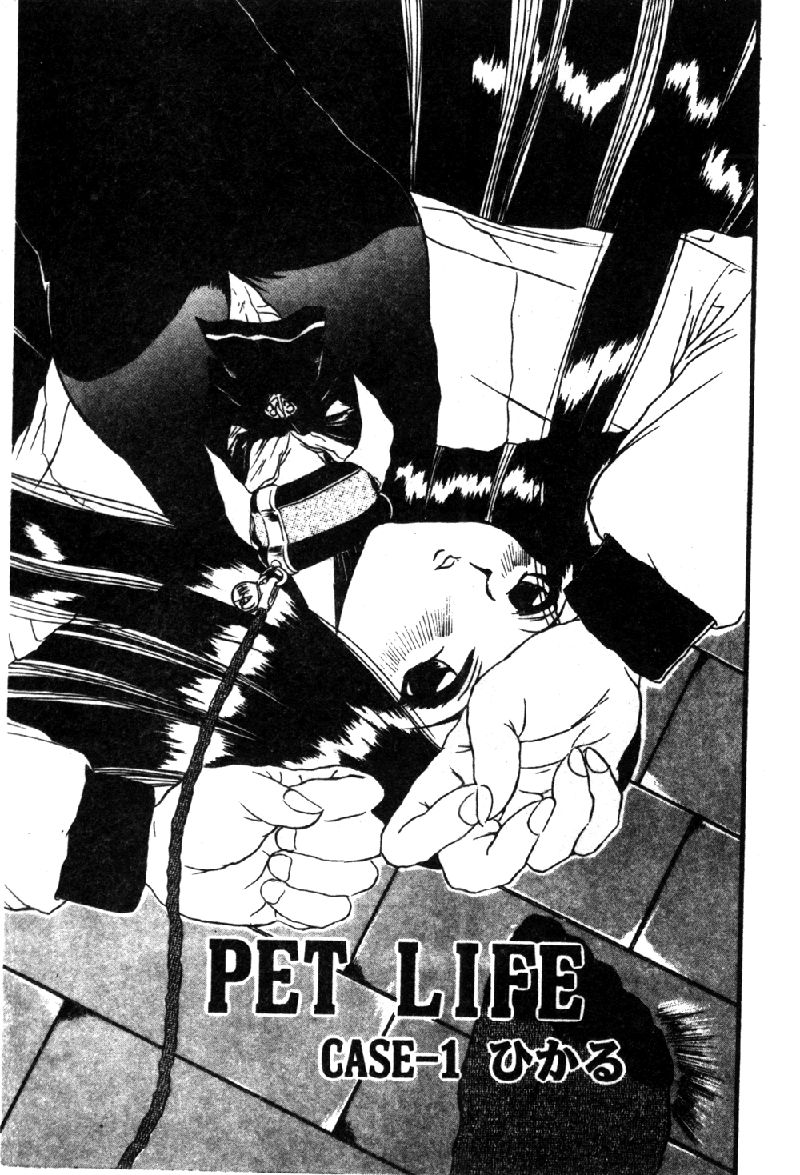 PET LIFE page 7 full