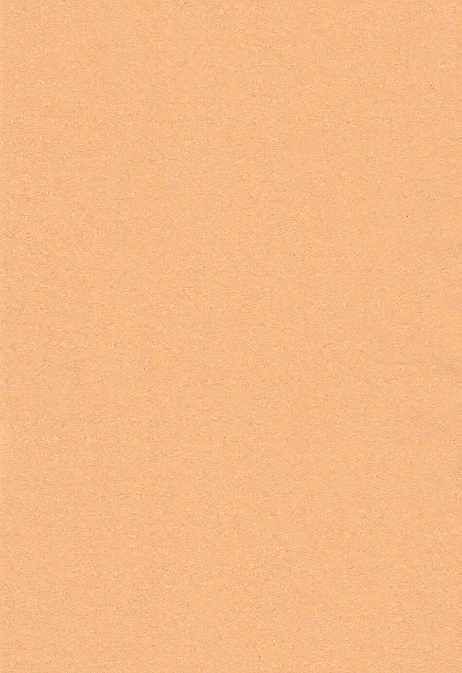 Tenko ni Itazura Suru Hon | 调戏天狐 page 3 full