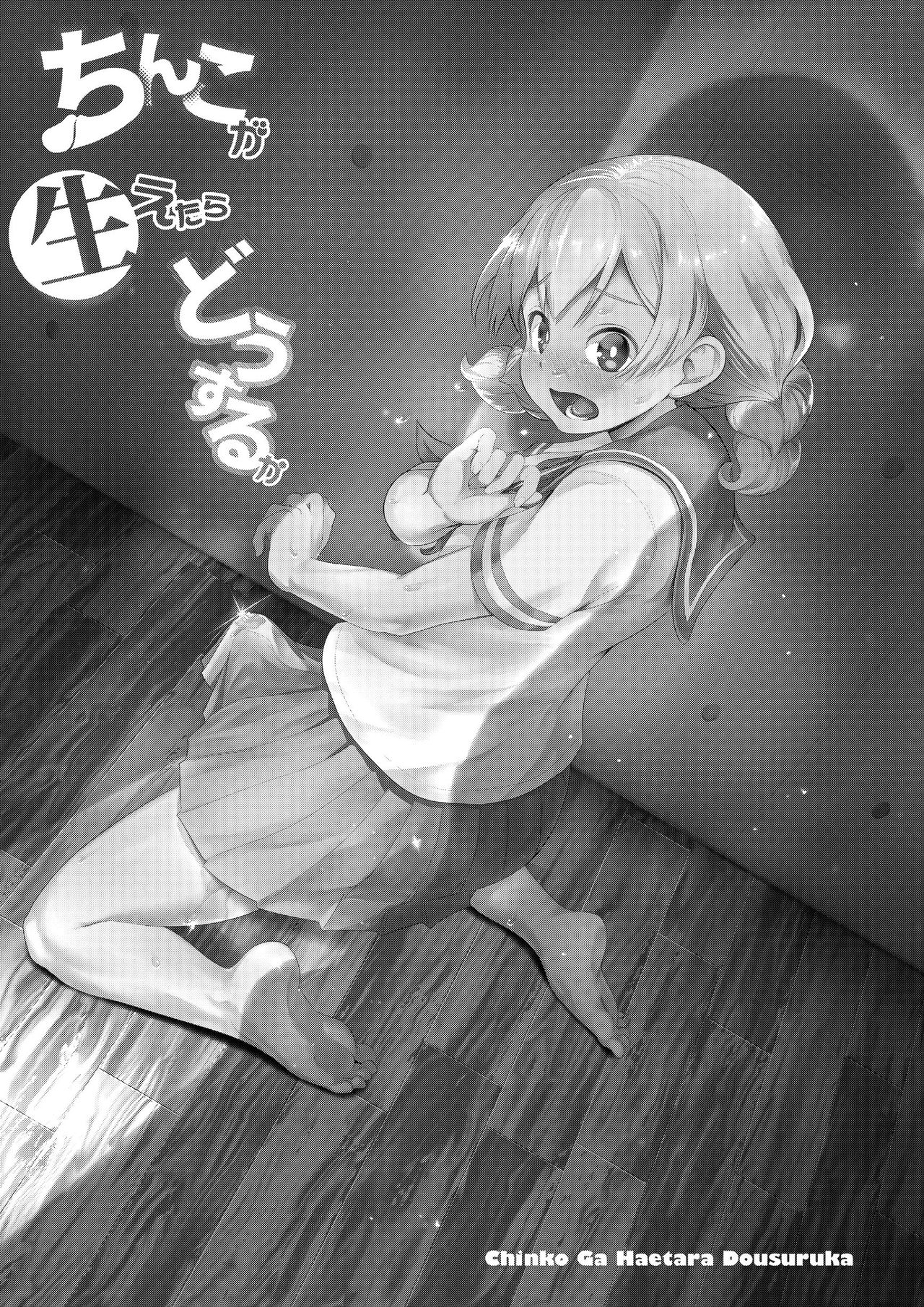 Chinko ga Haetara Dou Suru ka page 2 full