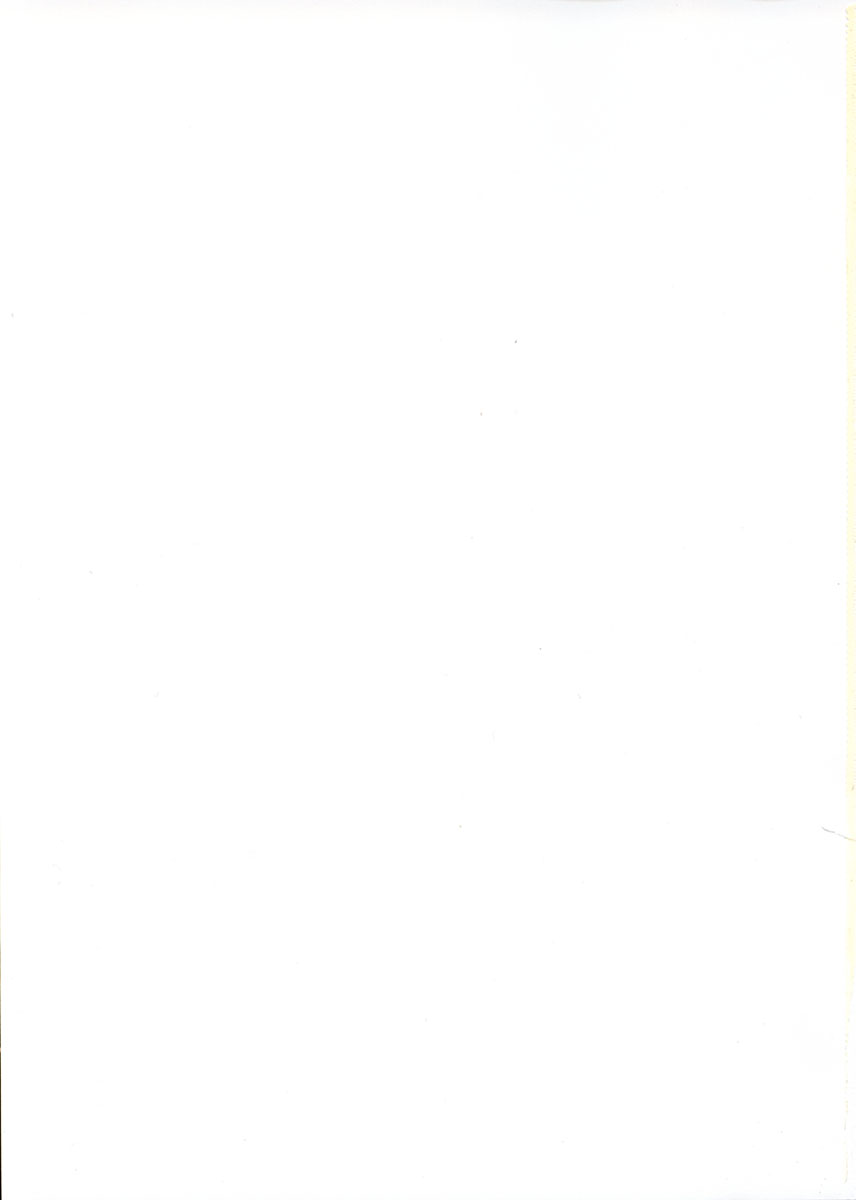 D.L. Action 13 page 2 full