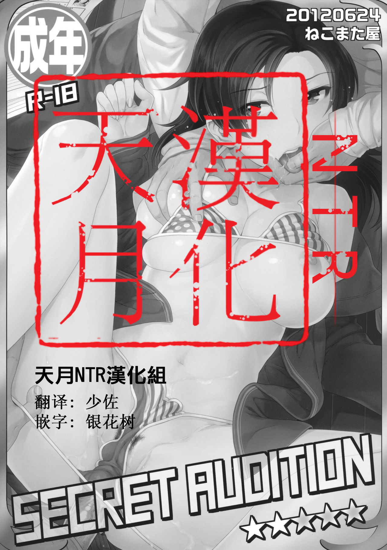 SECRET AUDITION page 2 full