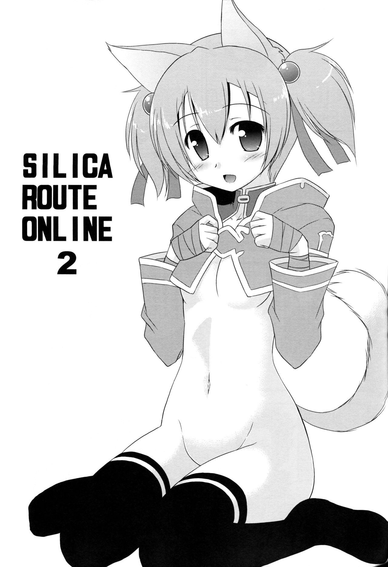 Silica Route Online 2 page 3 full