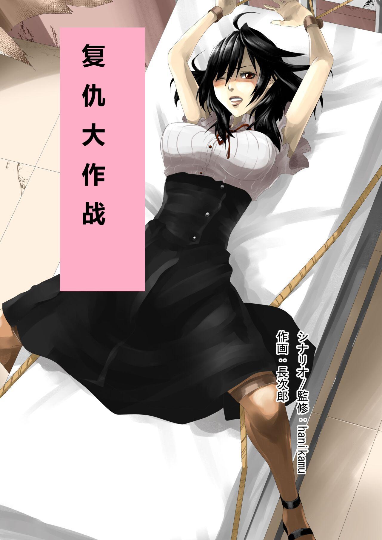 Teppeki Onna ni Fukushuu Daisakusen | 复仇大作战 page 1 full