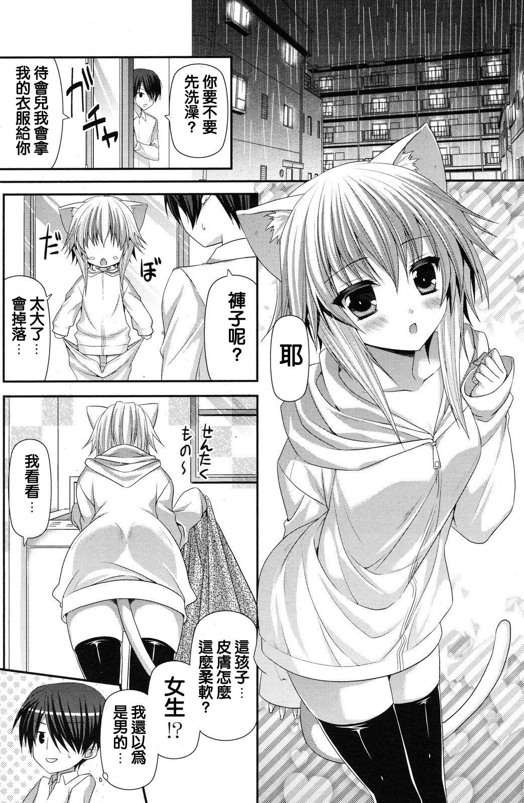 Lonely Cat page 2 full