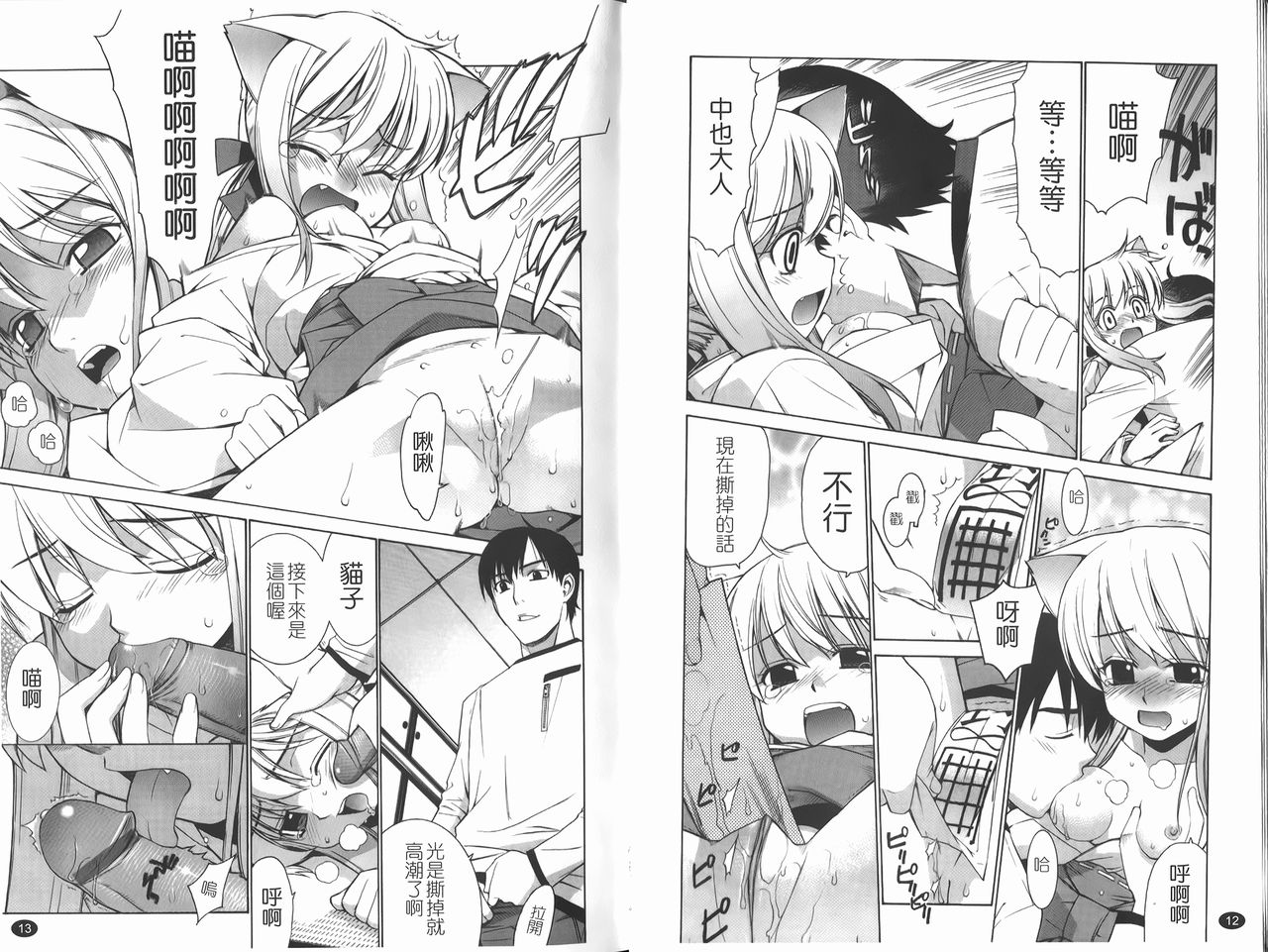 Nuko Miko-tan | 貓巫女小姐 page 9 full