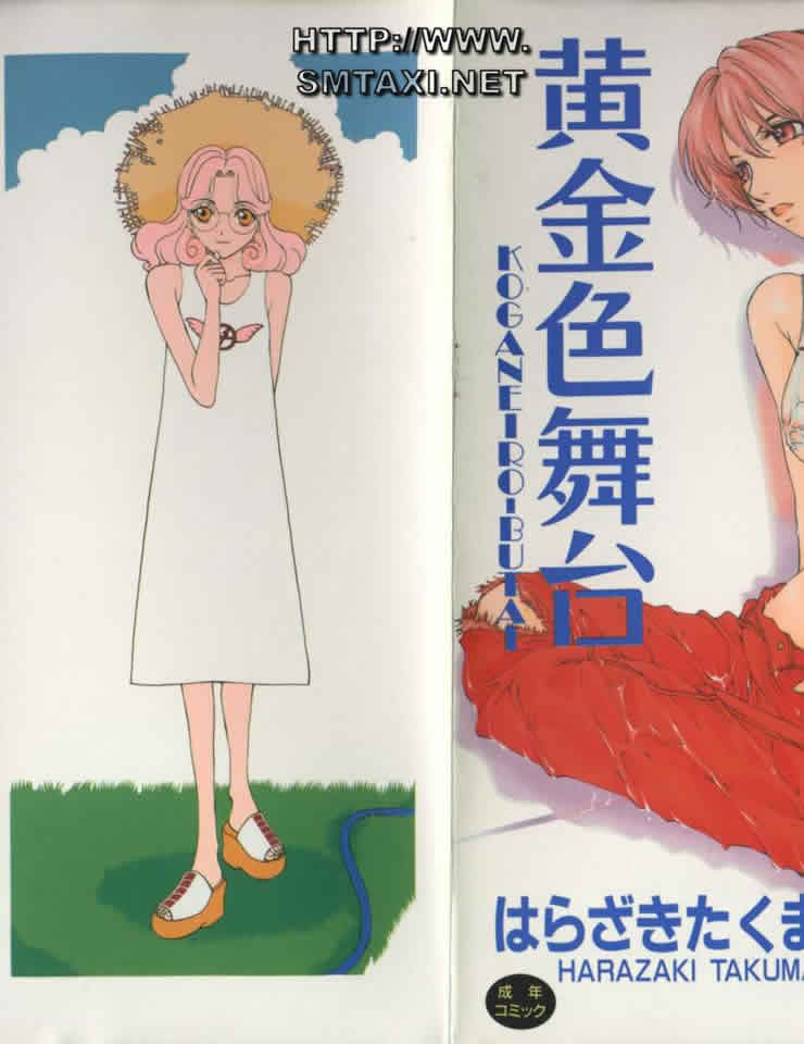 Koganeiro Butai 3 page 1 full