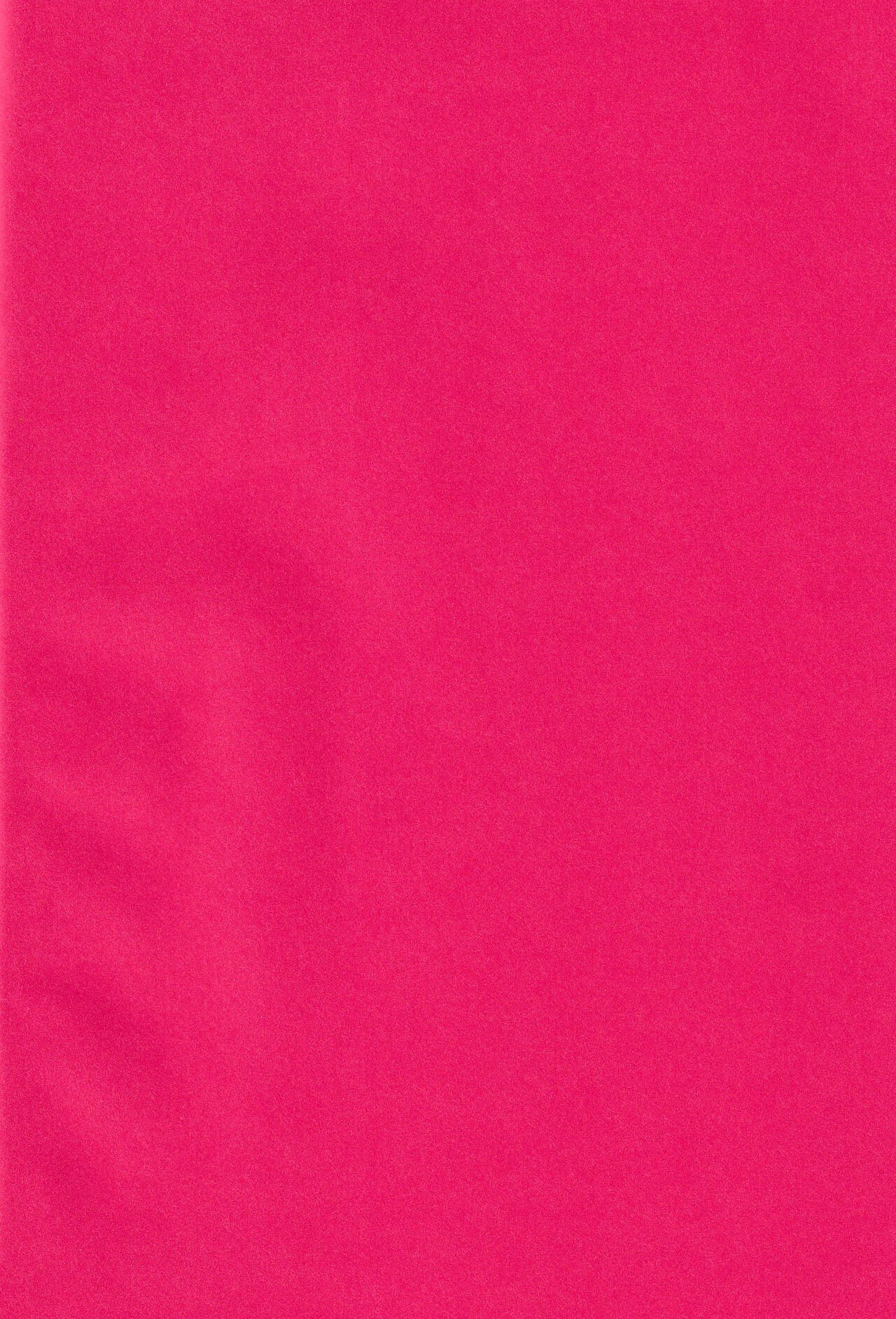 Ore no Unmei no Shikkoukan-sama page 2 full