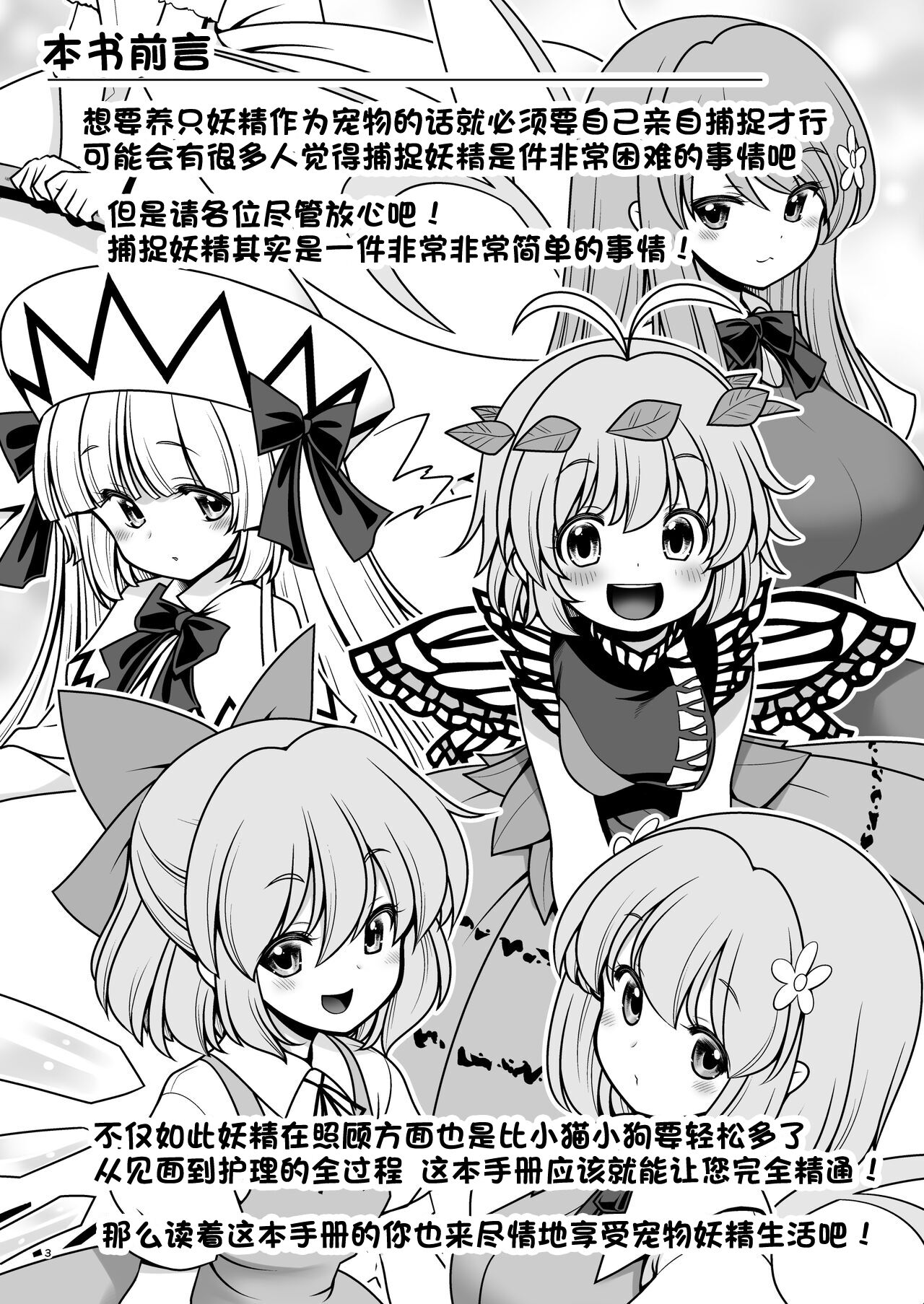 Yousei Pet to Tanoshii Shinseikatsu | 和宠物妖精的愉快新生活 page 3 full