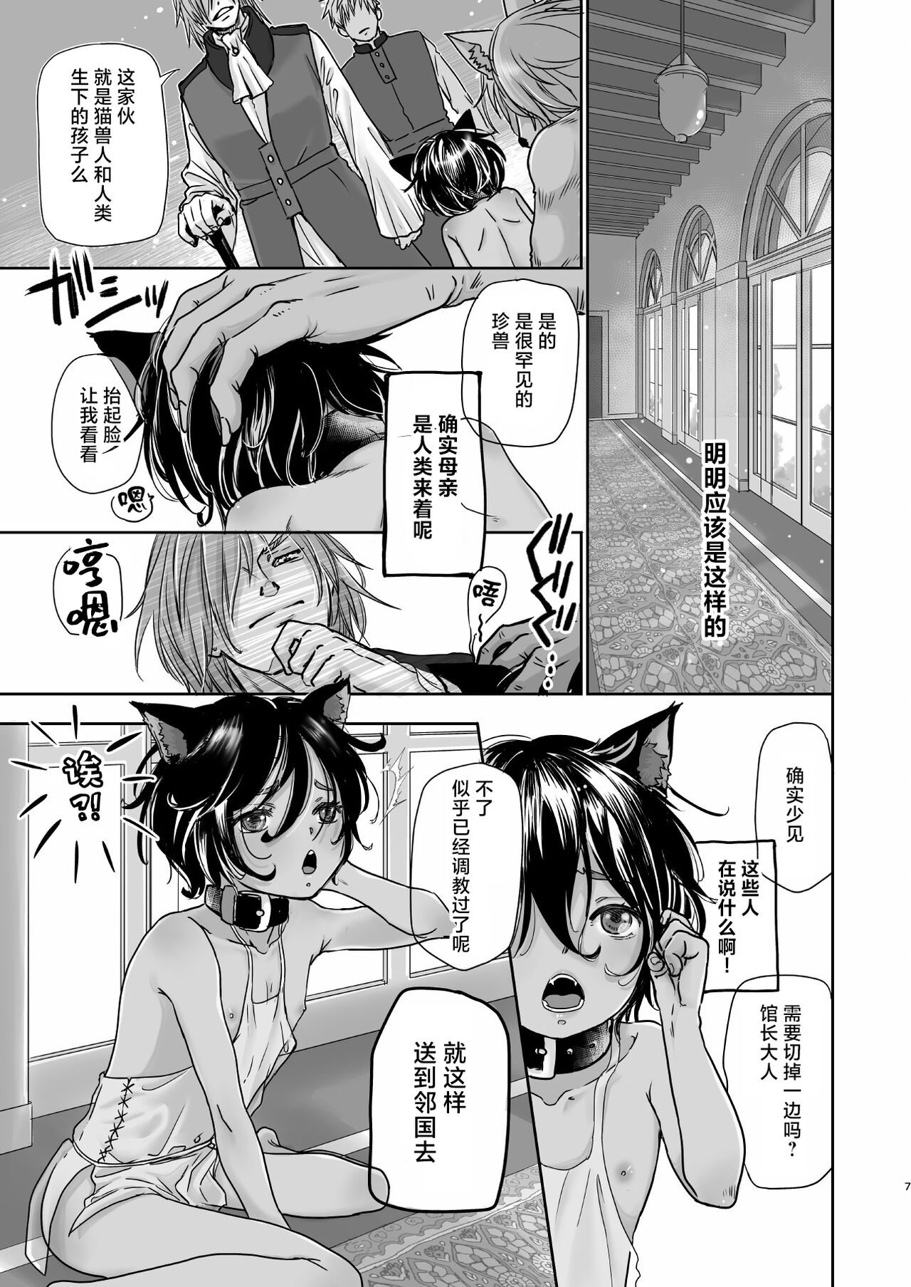 Boku, Isekai de Nekomimi Seidorei to Shite Tonari no Kuni made Tabi o Shitemasu. page 8 full