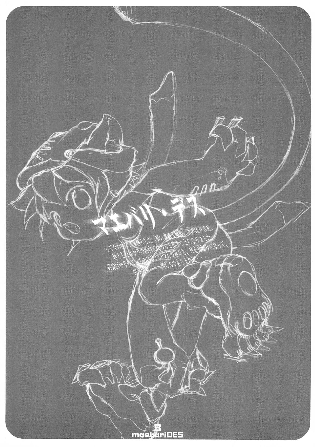 maebari DES page 3 full