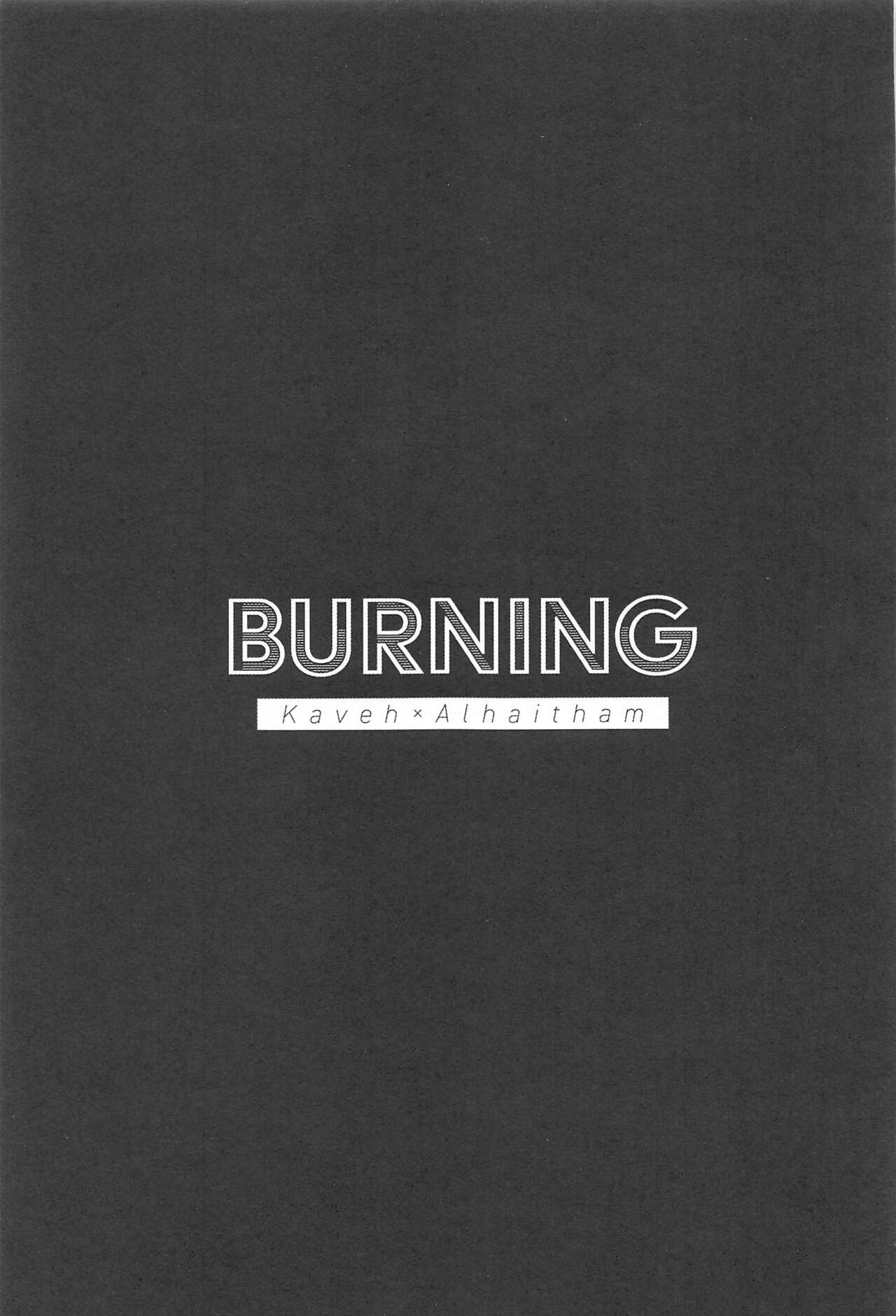 Burning page 2 full