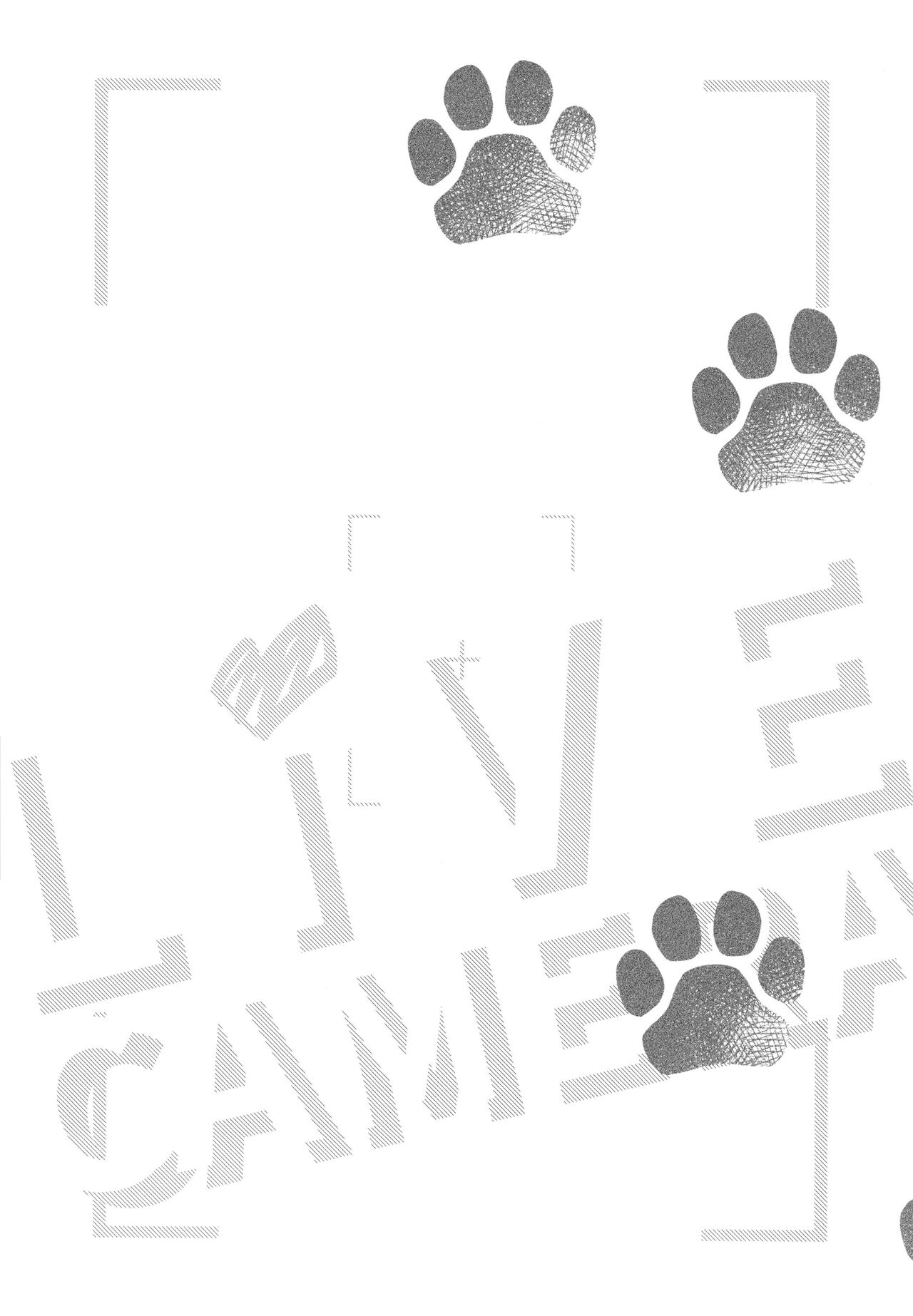 Live Camera page 4 full