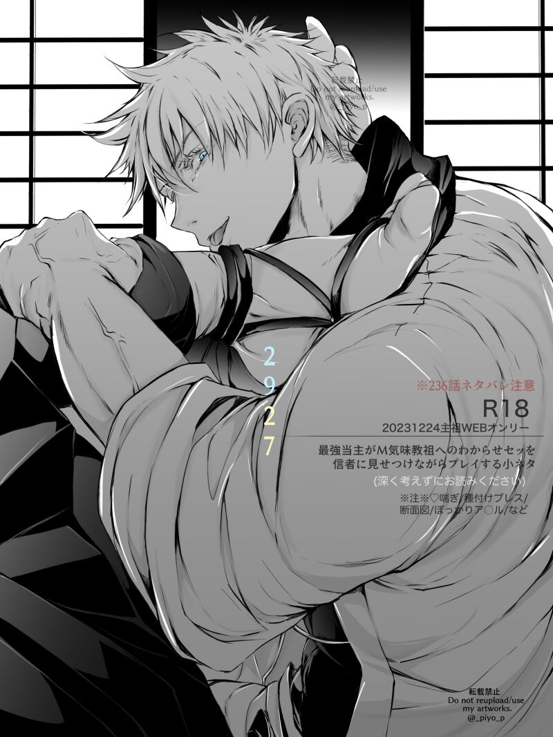 29×16 / 29×27 in airport page 8 full