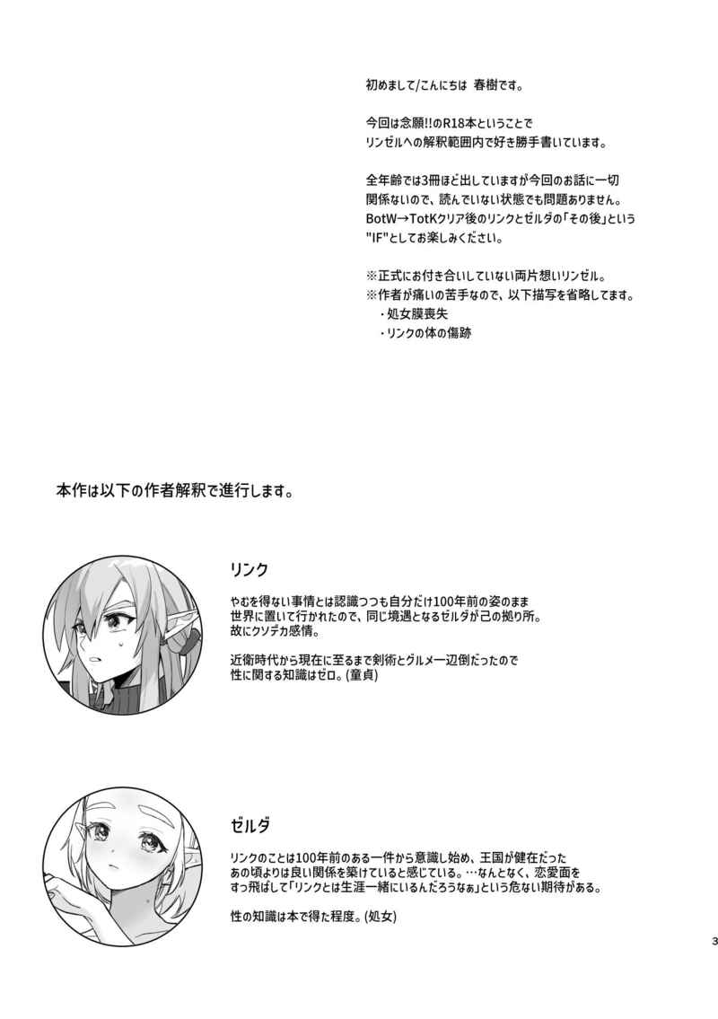 Yume no Hanashi - Dream Story page 2 full