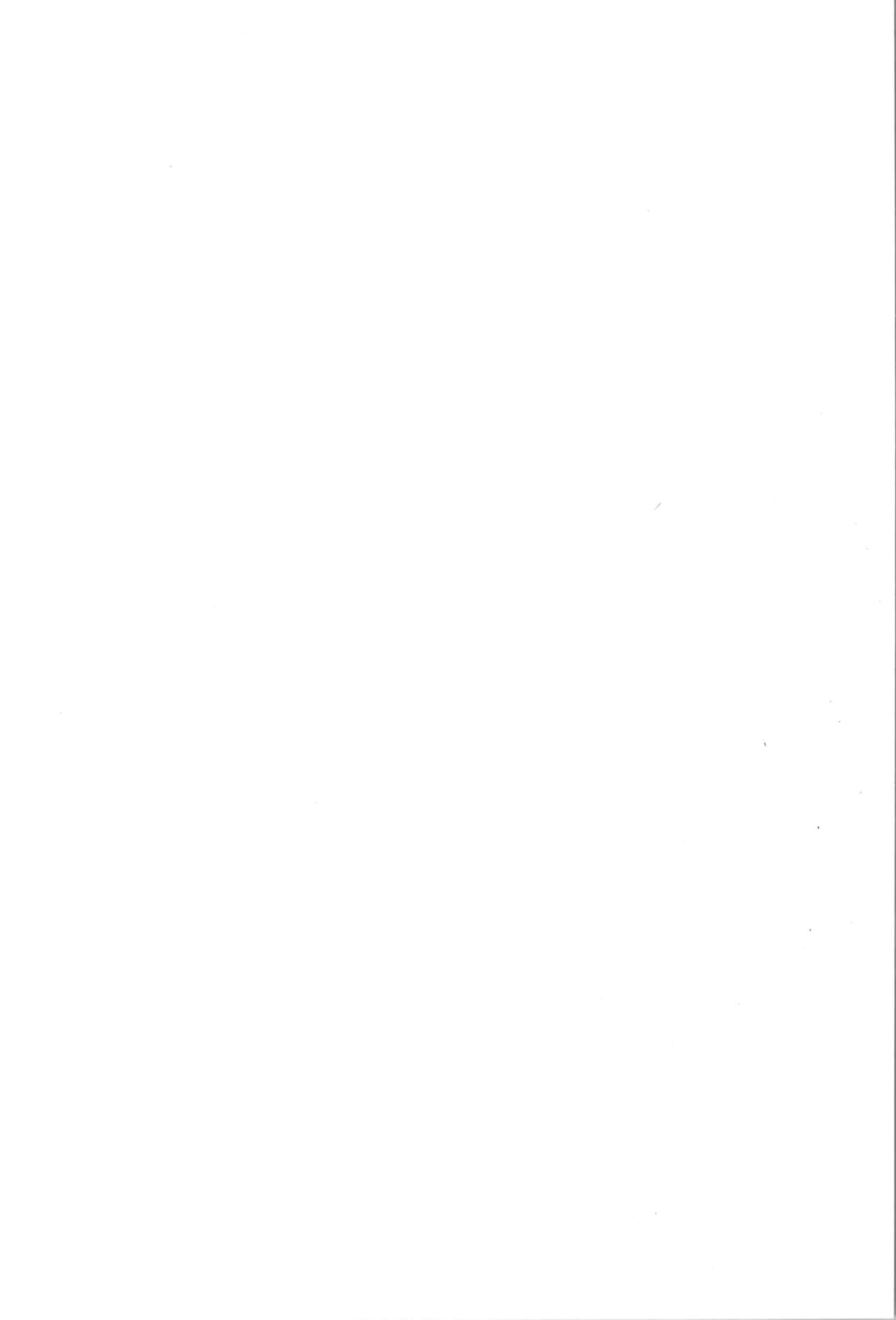 TS Mahou Shoujo Pure Rabbit 3 Kindan no Nagusamex page 2 full