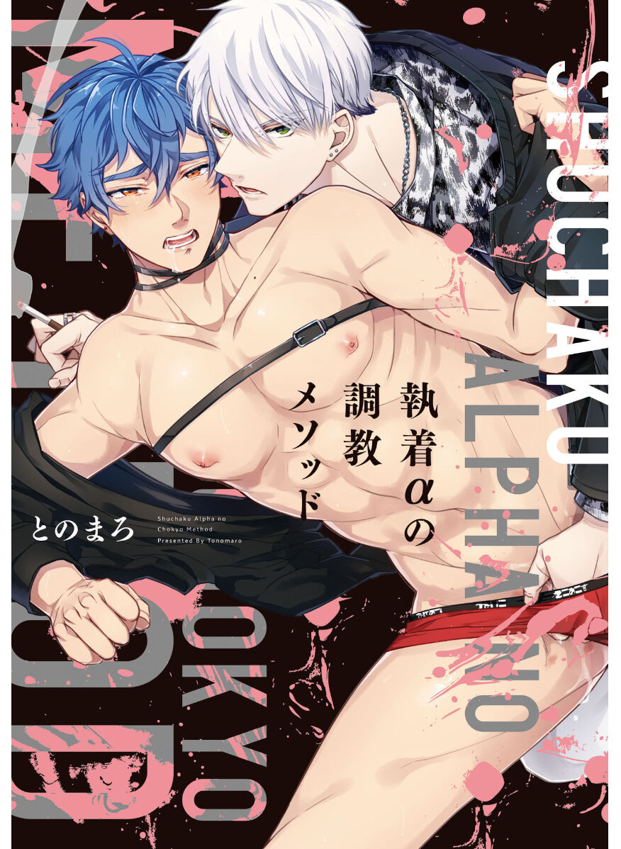 Attachment α training method page 1 full