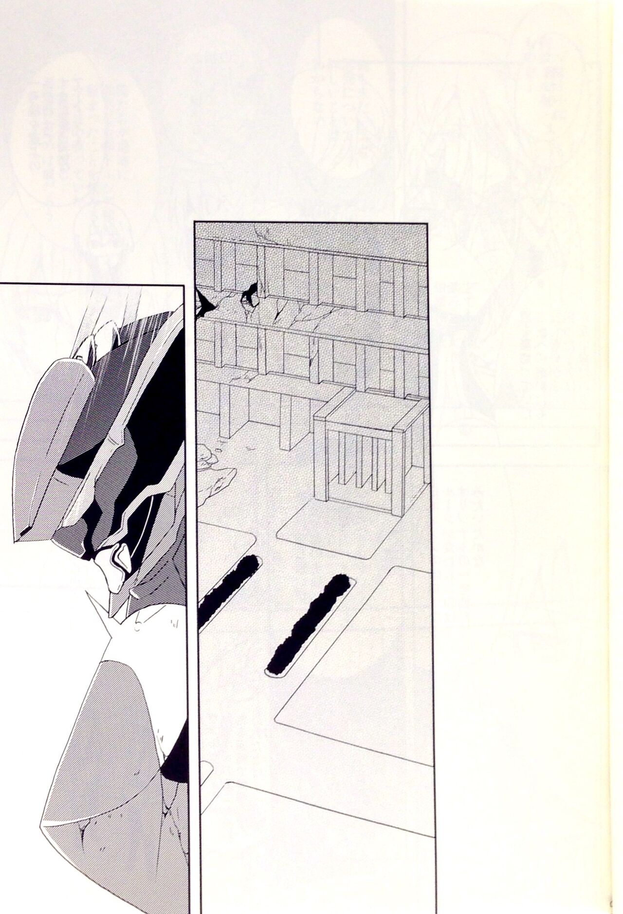 Helichrysum page 10 full