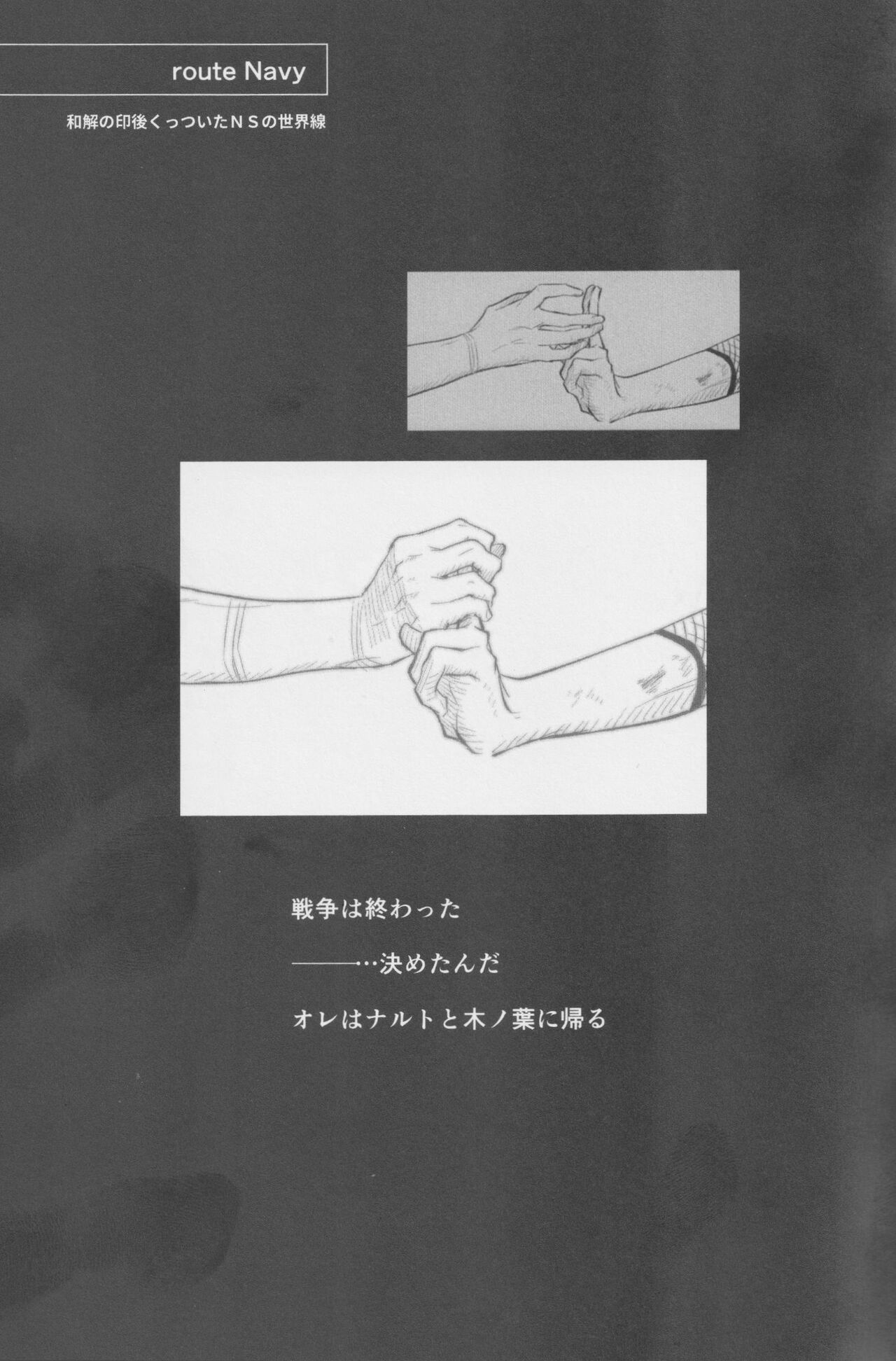 Route Navy page 2 full