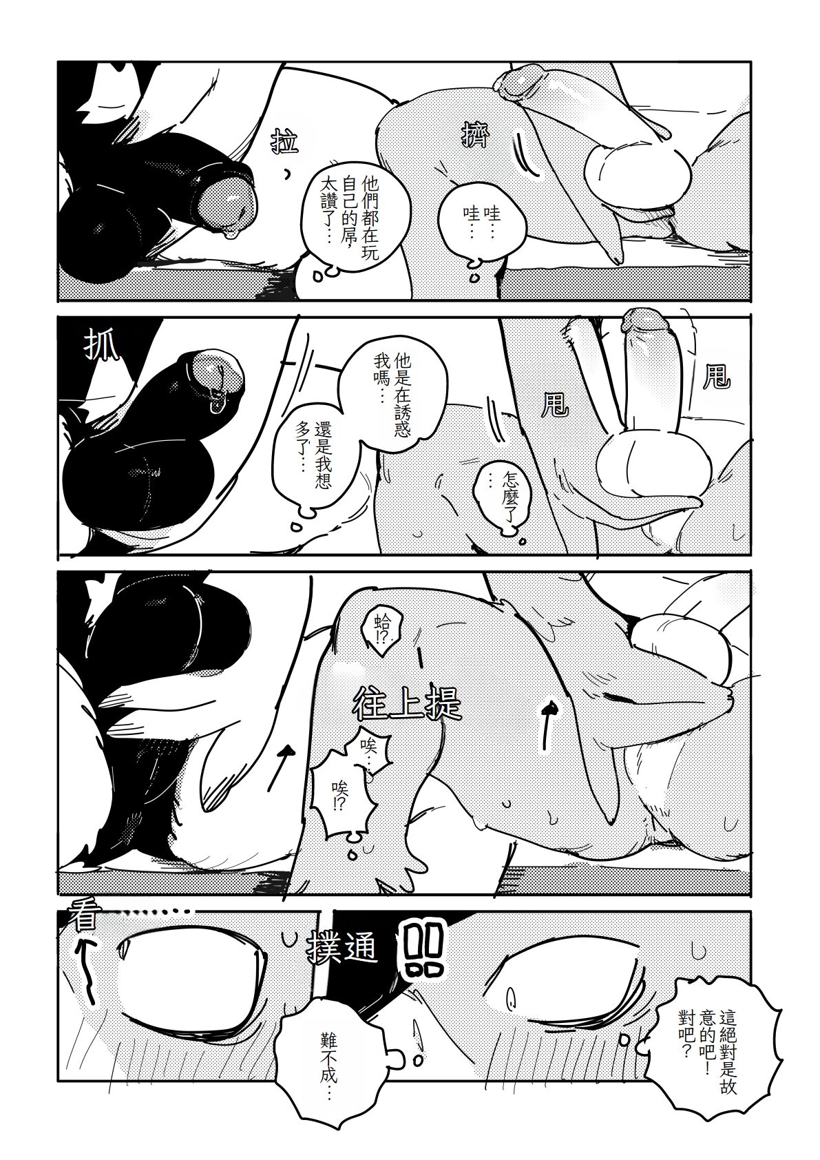 White-Tailed Eagle and Owls 白尾鷹與鴞 page 5 full