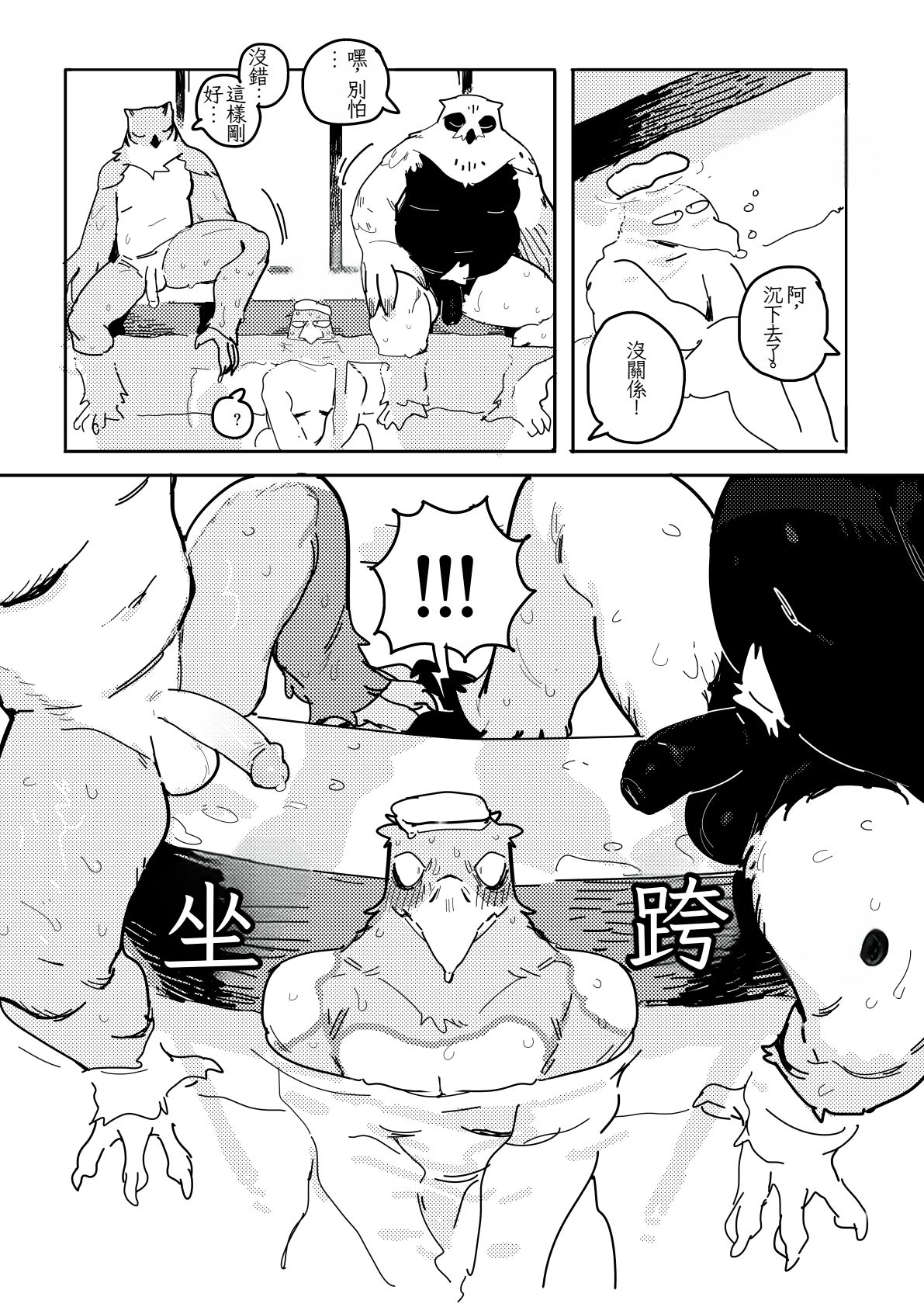 White-Tailed Eagle and Owls 白尾鷹與鴞 page 7 full