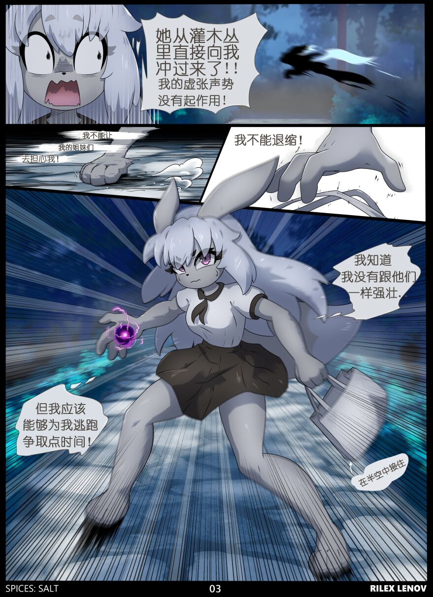 Spices: Salt | page 3 full