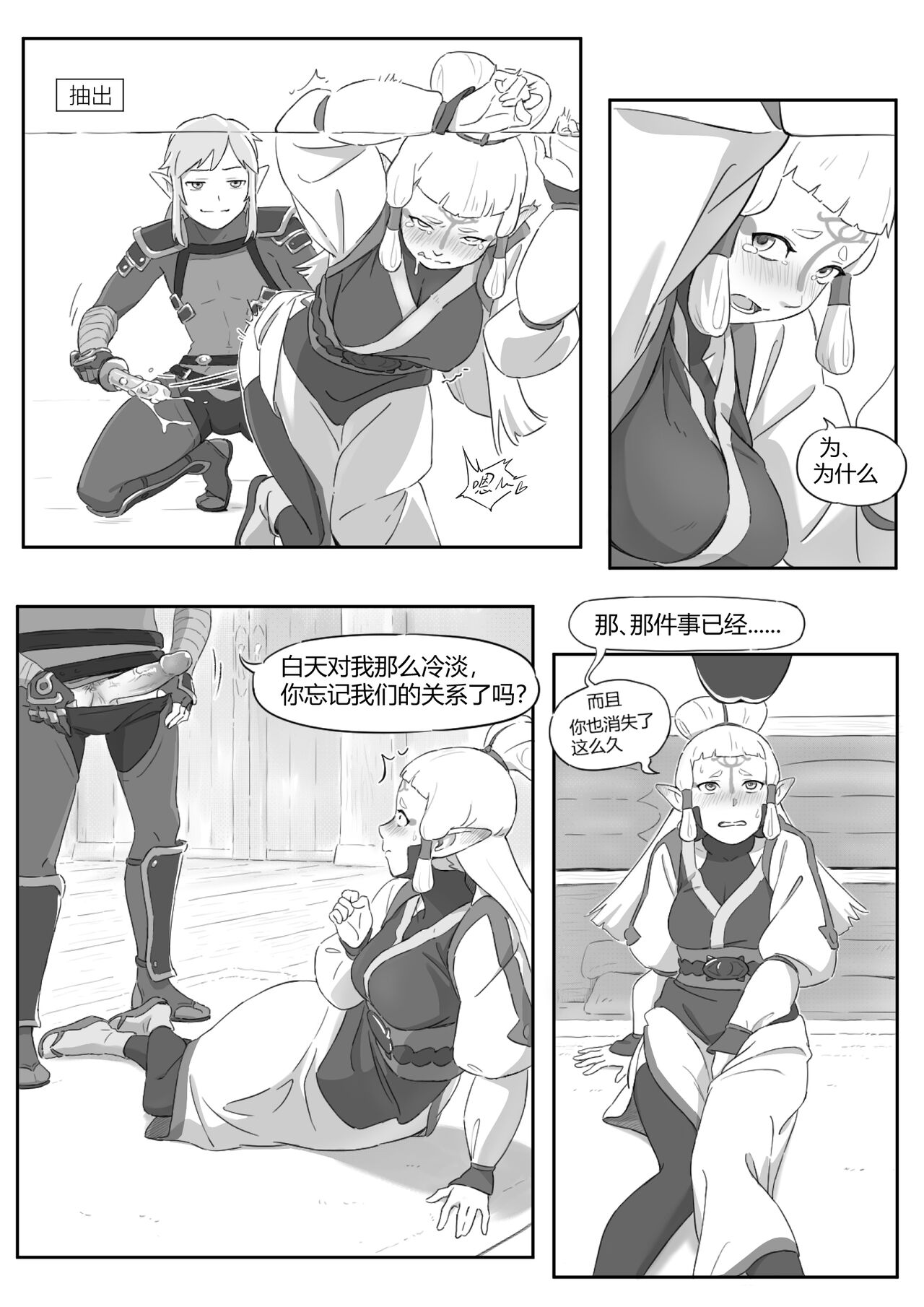 海拉鲁欲望传说 page 10 full