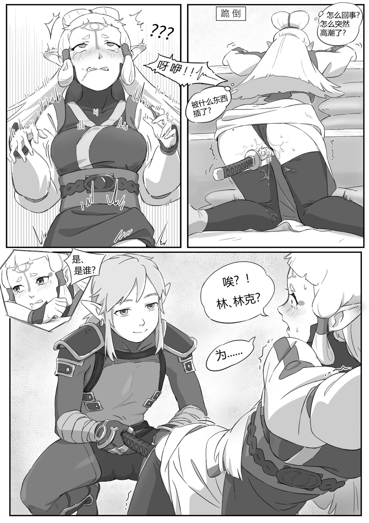 海拉鲁欲望传说 page 9 full