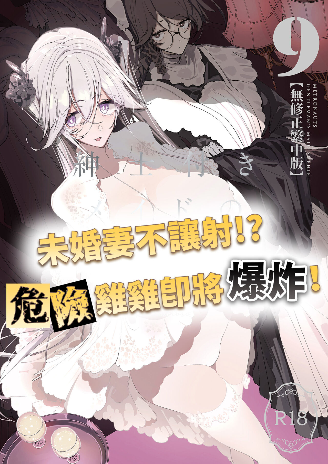 Shinshi Tsuki Maid no Sophie-san 9 | 貼身女僕蘇菲 9 page 2 full