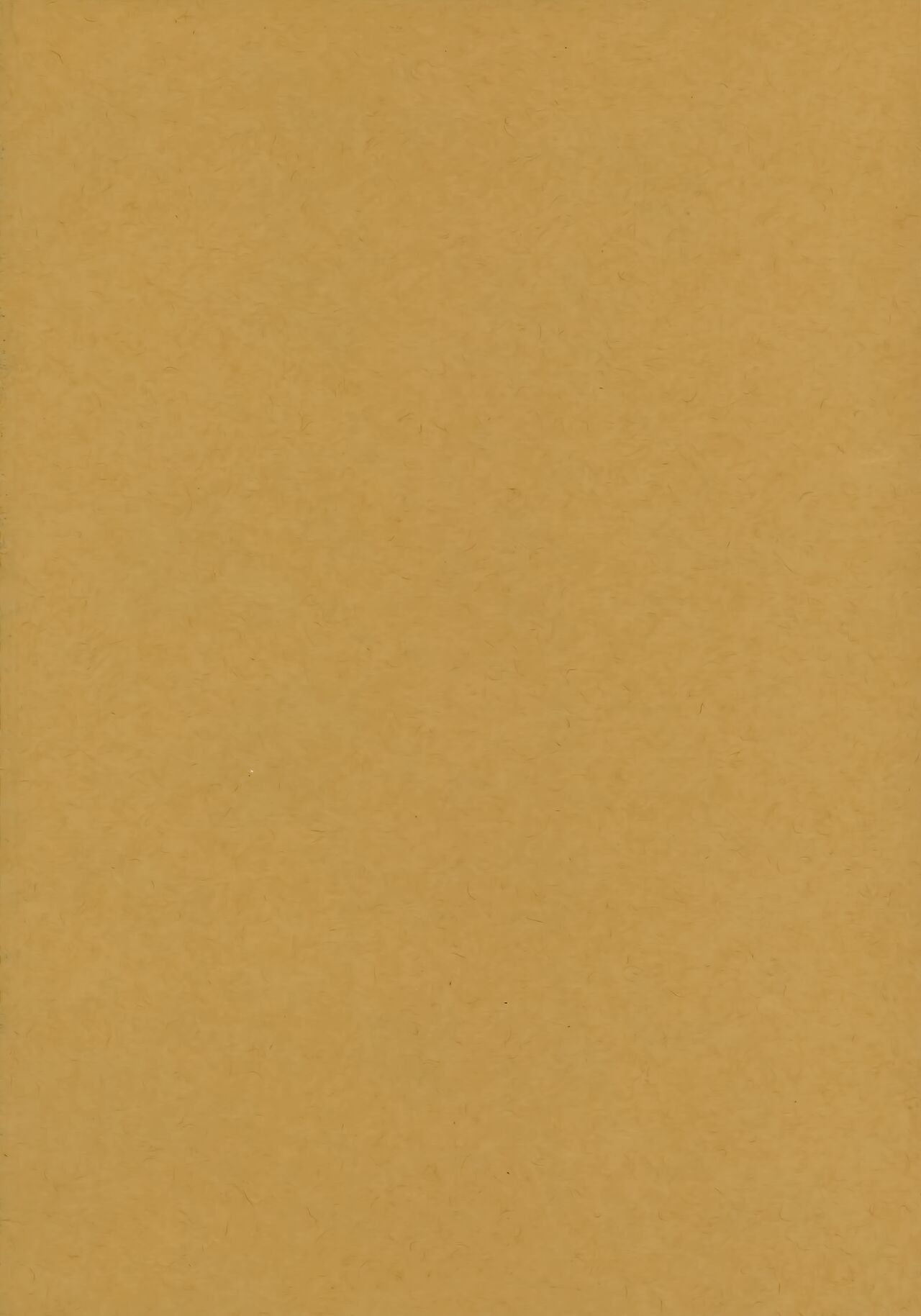 Admiral! quiet page 2 full