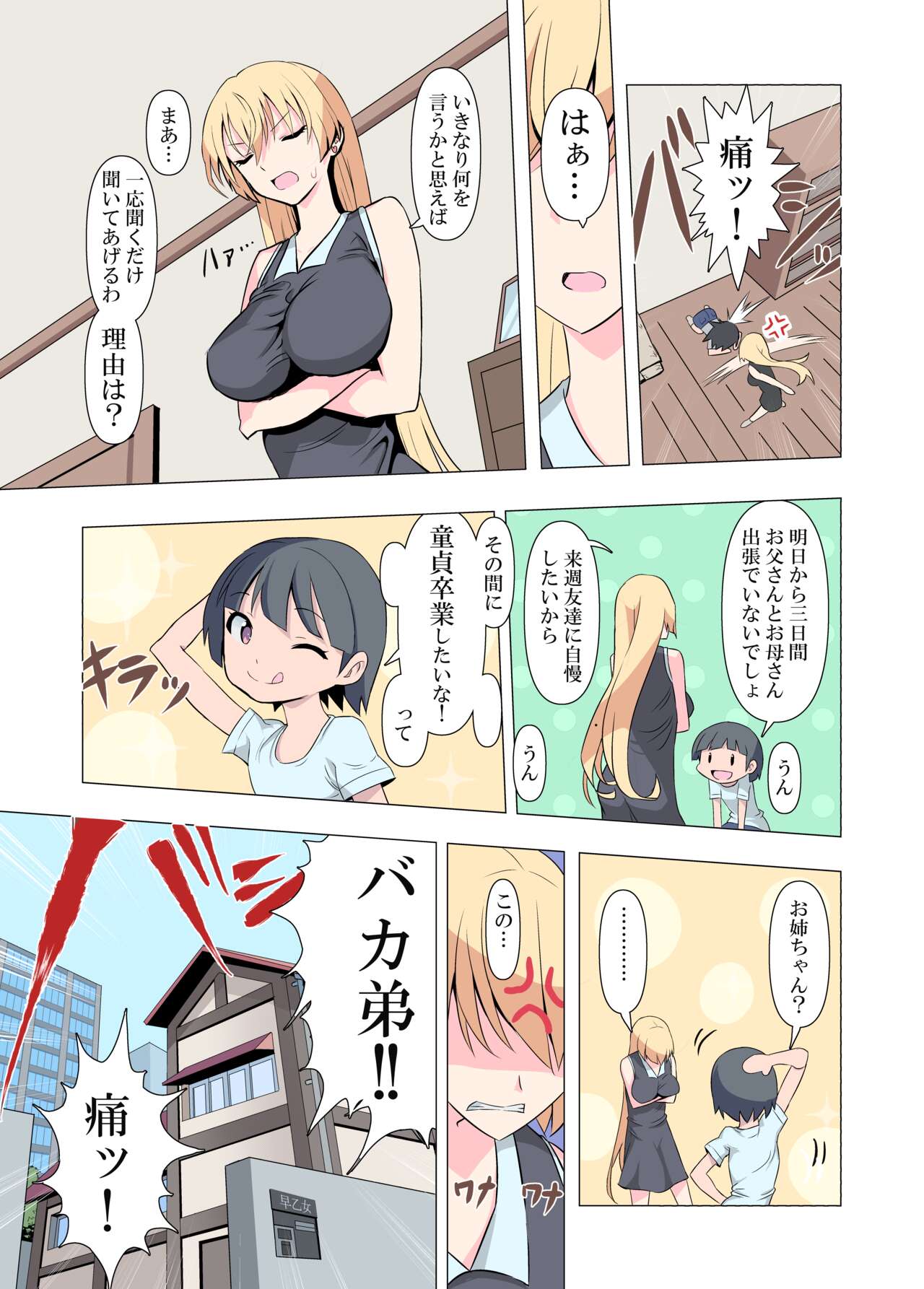 お姉ちゃんお願い!1回でいいからセックスさせて! page 3 full