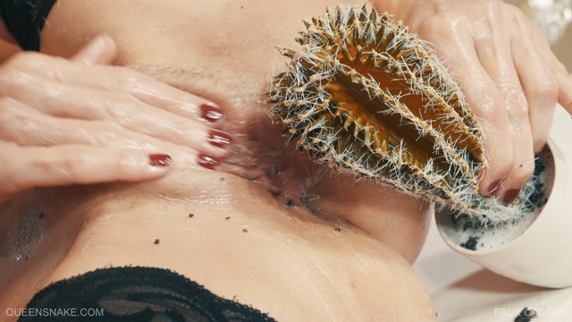 Gekkan Shounen Zoom 2024-04 page 8 full